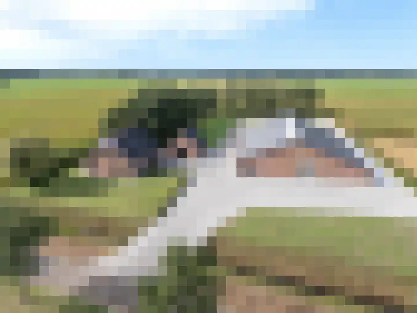 Meeuwenweg 16 a Zuidwolde thumbnail 58