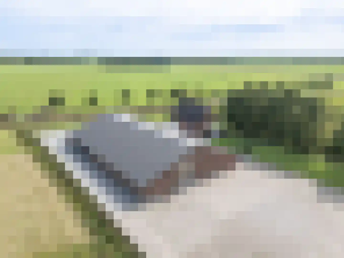 Meeuwenweg 16 a Zuidwolde thumbnail 62