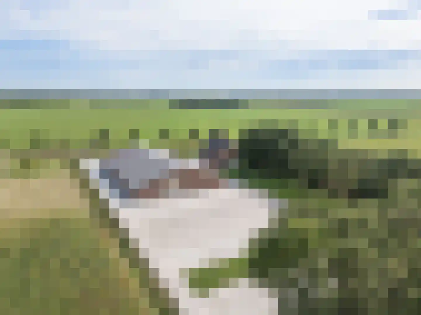 Meeuwenweg 16 a Zuidwolde thumbnail 63