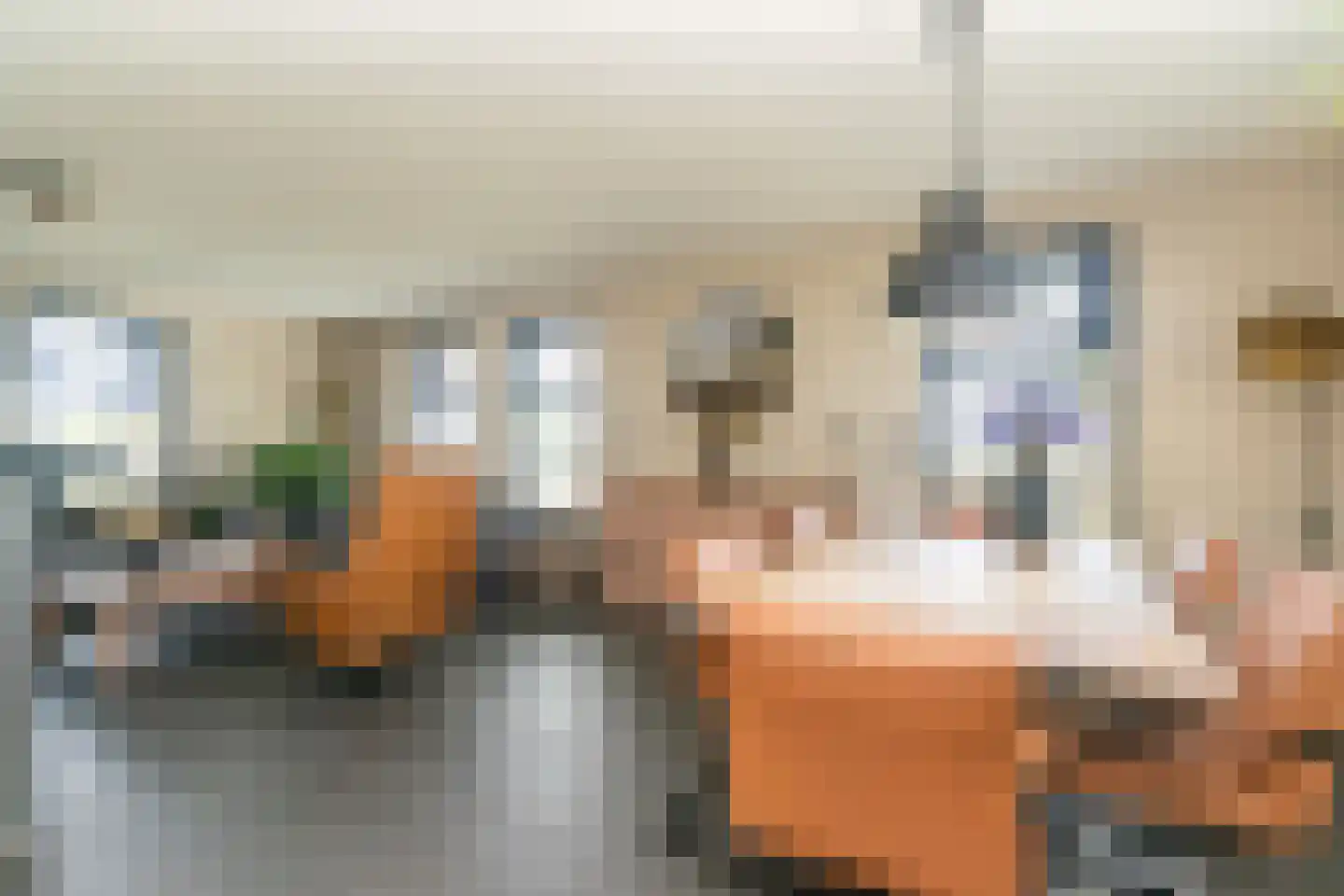 Meeuwenweg 16 a Zuidwolde thumbnail 9