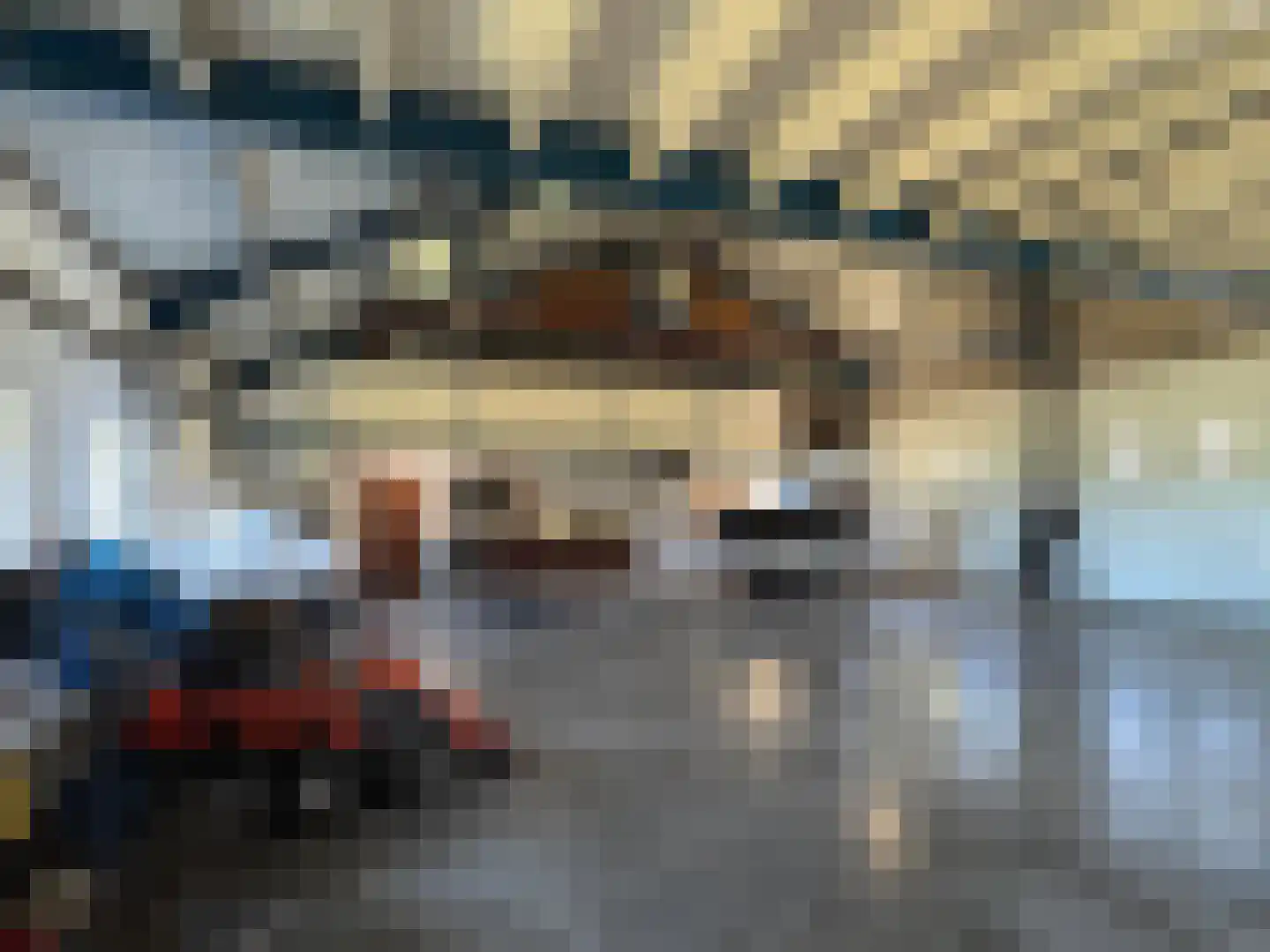 Meeuwenweg 22 Zuidwolde thumbnail 100