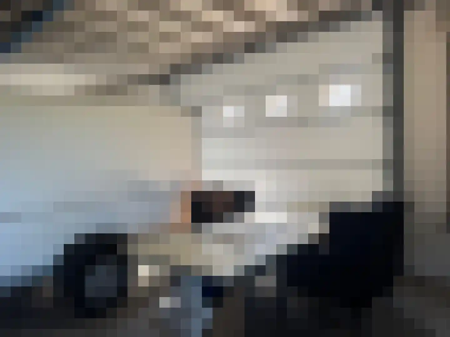 Meeuwenweg 22 Zuidwolde thumbnail 101