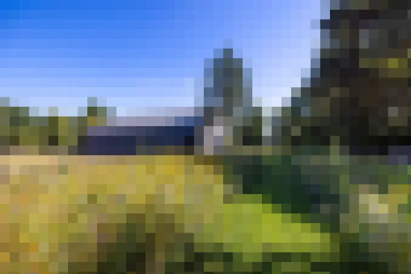 Meeuwenweg 22 Zuidwolde thumbnail 105