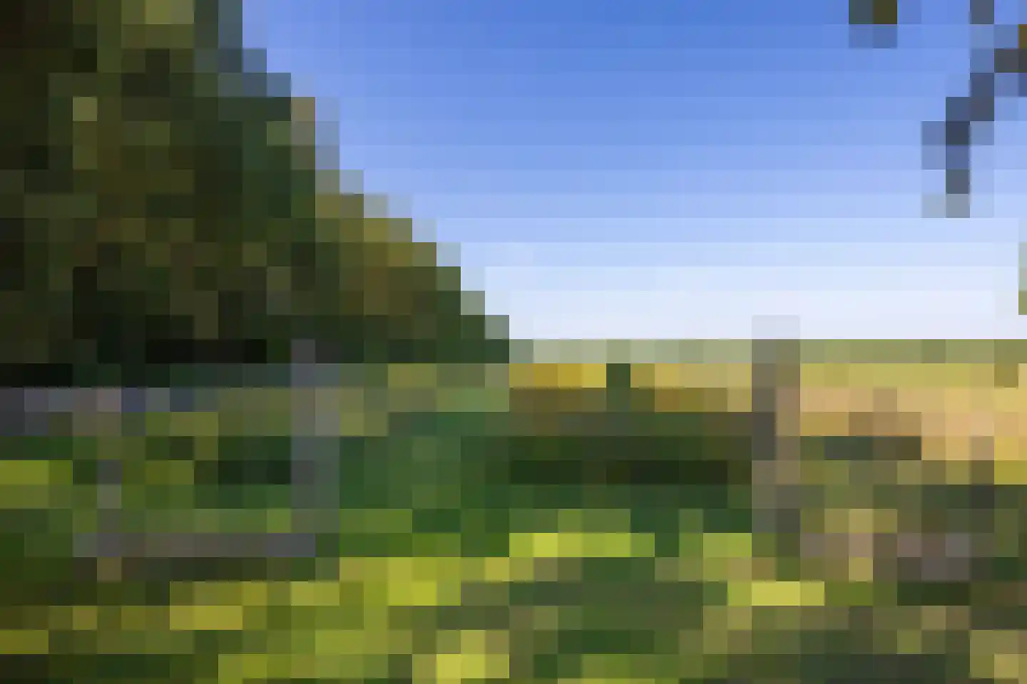 Meeuwenweg 22 Zuidwolde thumbnail 107