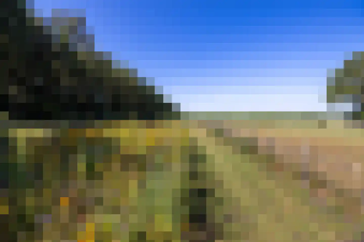 Meeuwenweg 22 Zuidwolde thumbnail 108