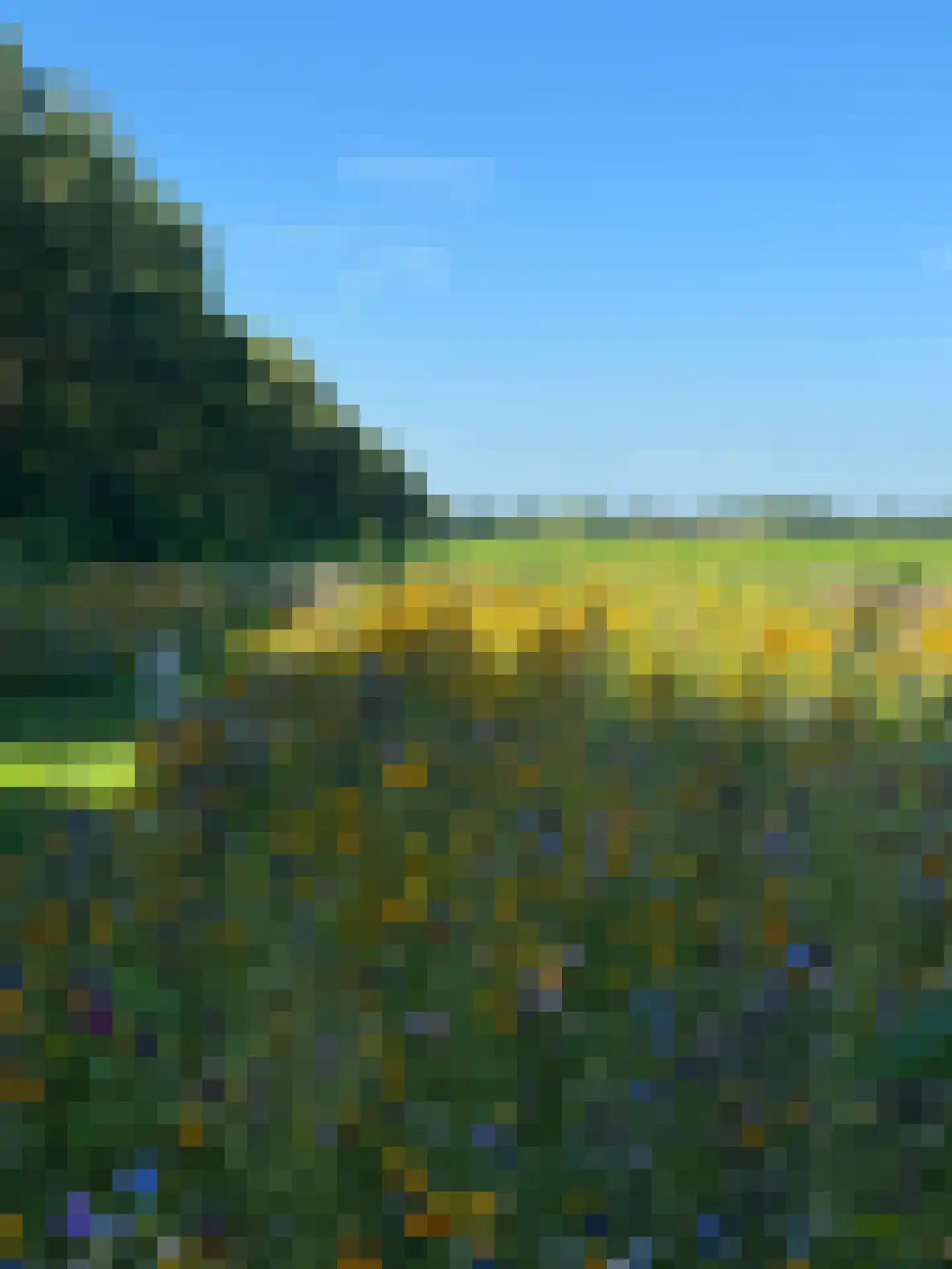 Meeuwenweg 22 Zuidwolde thumbnail 109