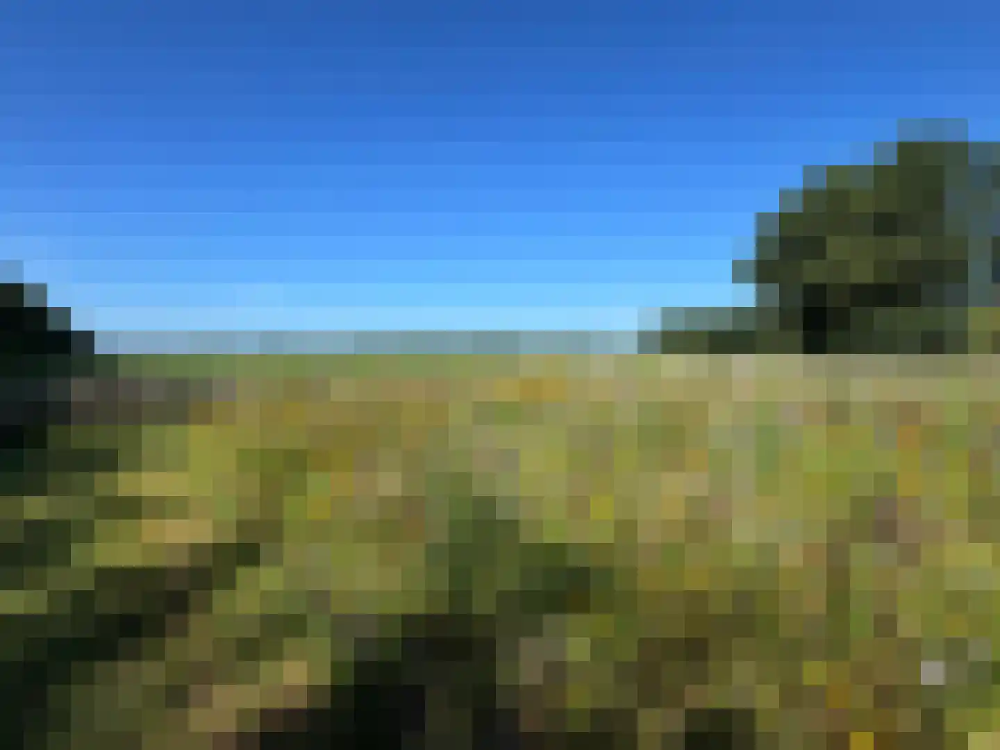 Meeuwenweg 22 Zuidwolde thumbnail 111