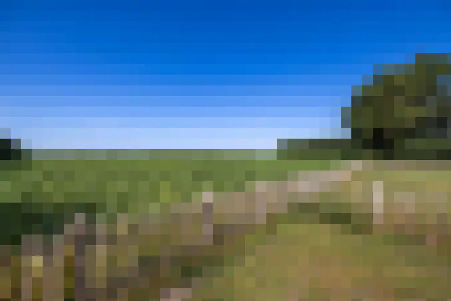 Meeuwenweg 22 Zuidwolde thumbnail 112