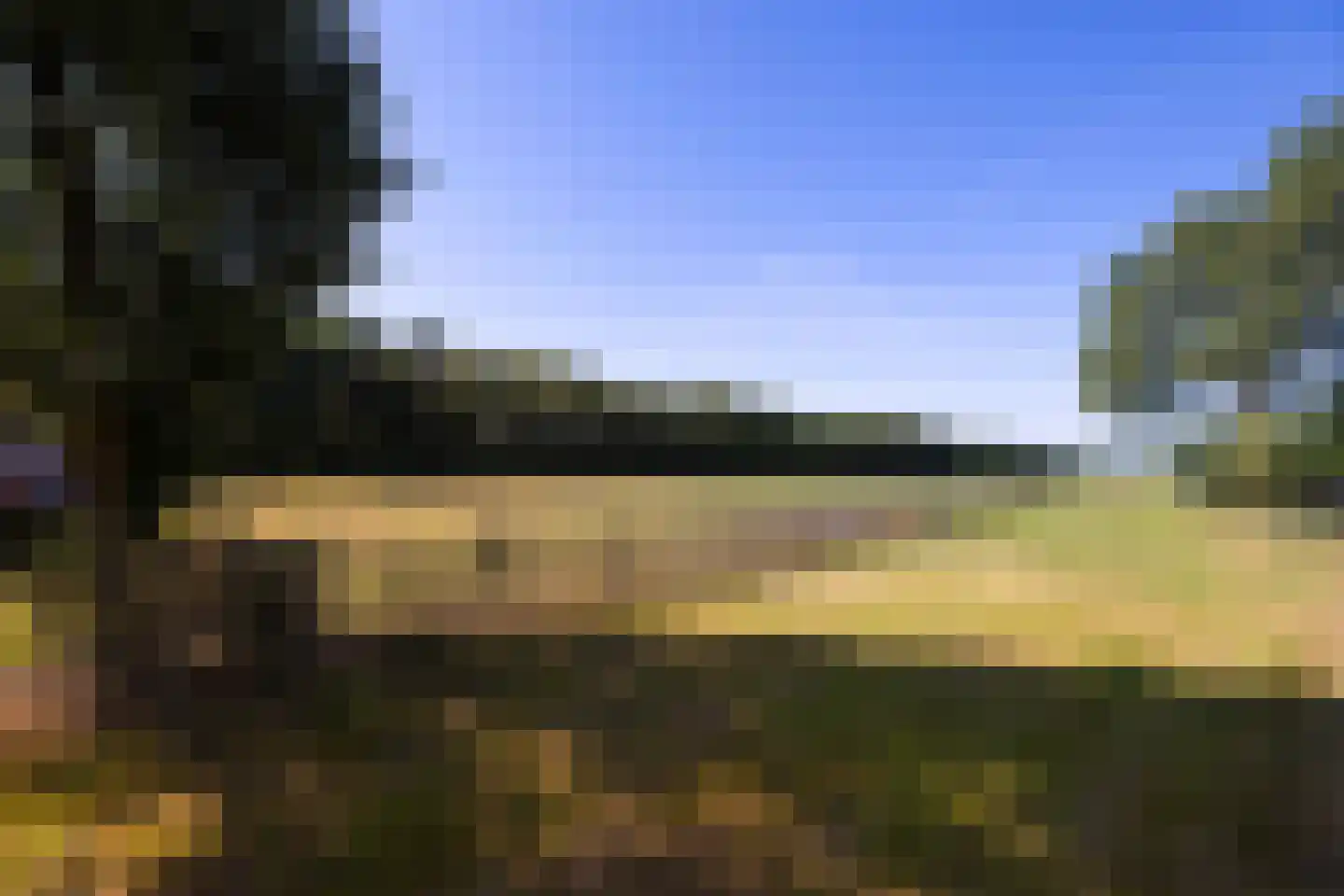 Meeuwenweg 22 Zuidwolde thumbnail 113