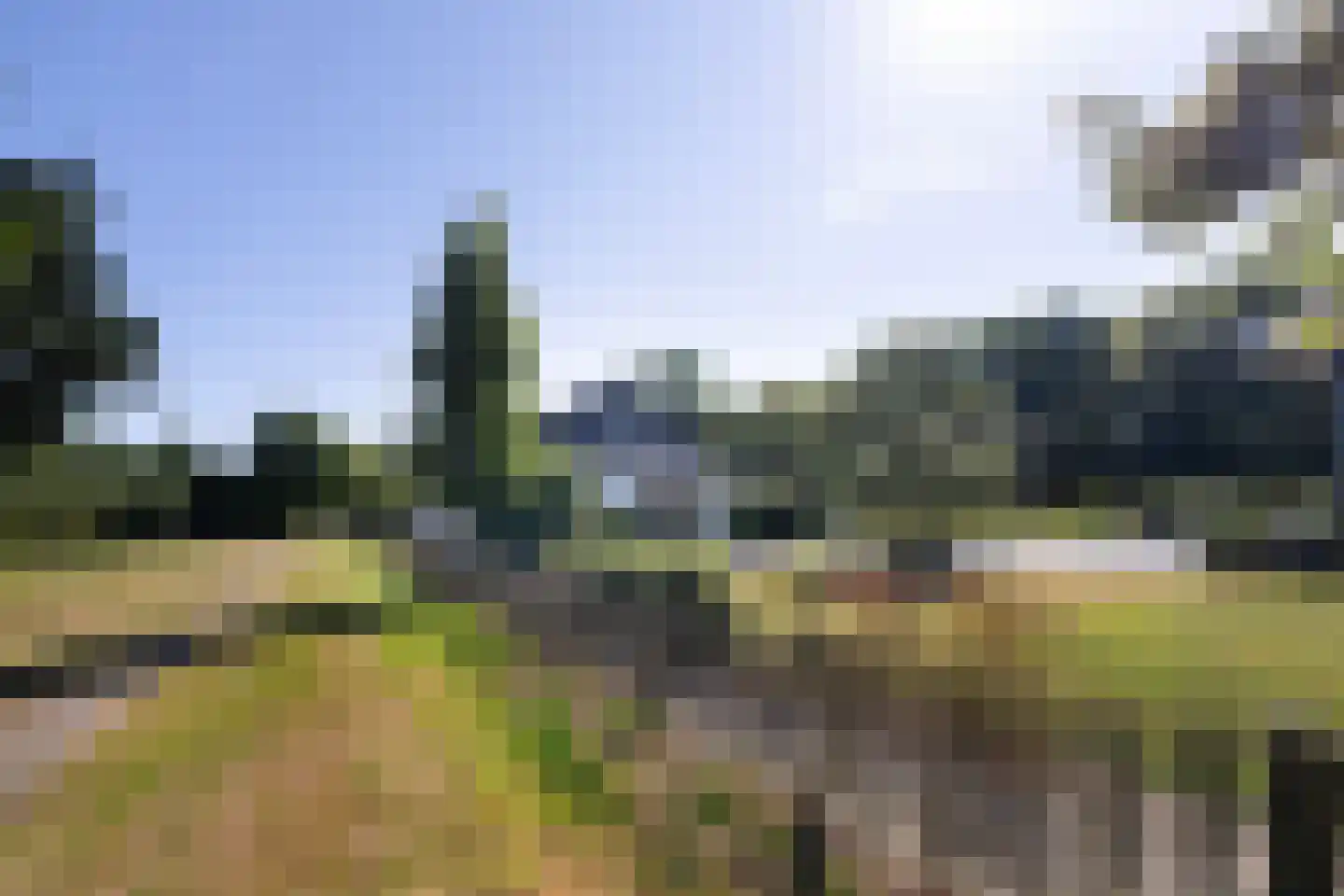 Meeuwenweg 22 Zuidwolde thumbnail 115