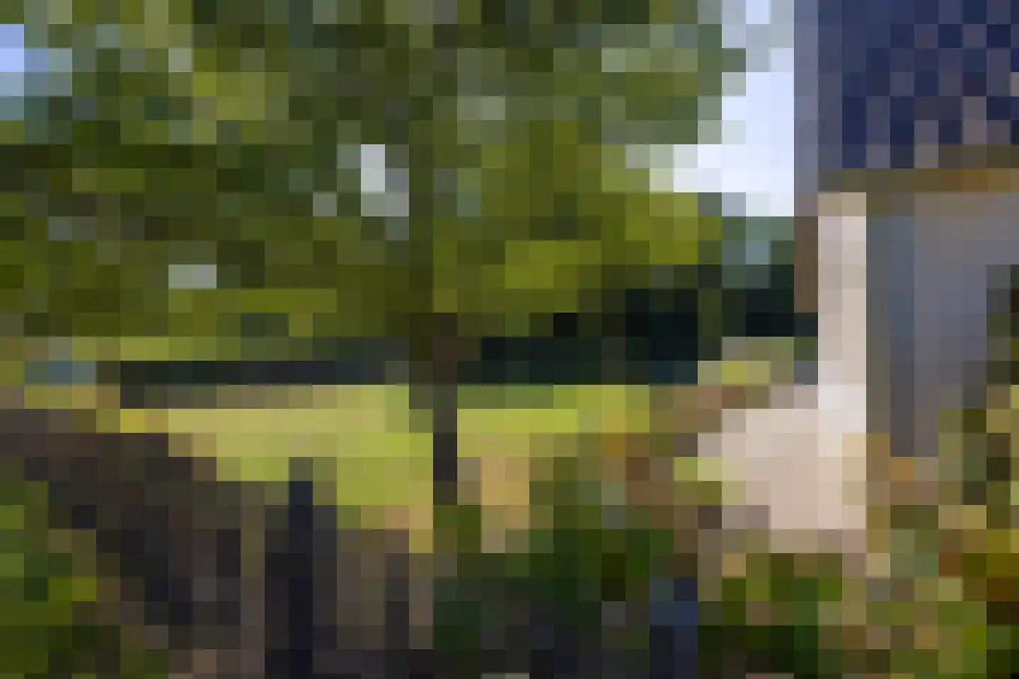 Meeuwenweg 22 Zuidwolde thumbnail 117