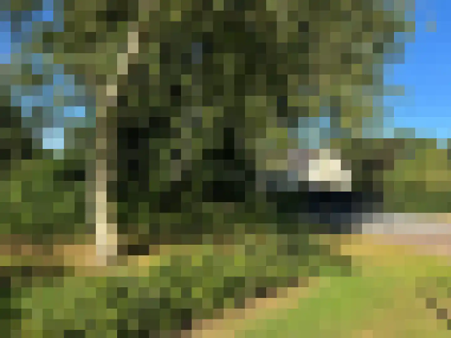 Meeuwenweg 22 Zuidwolde thumbnail 119