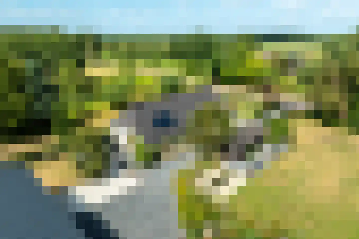 Meeuwenweg 22 Zuidwolde thumbnail 12
