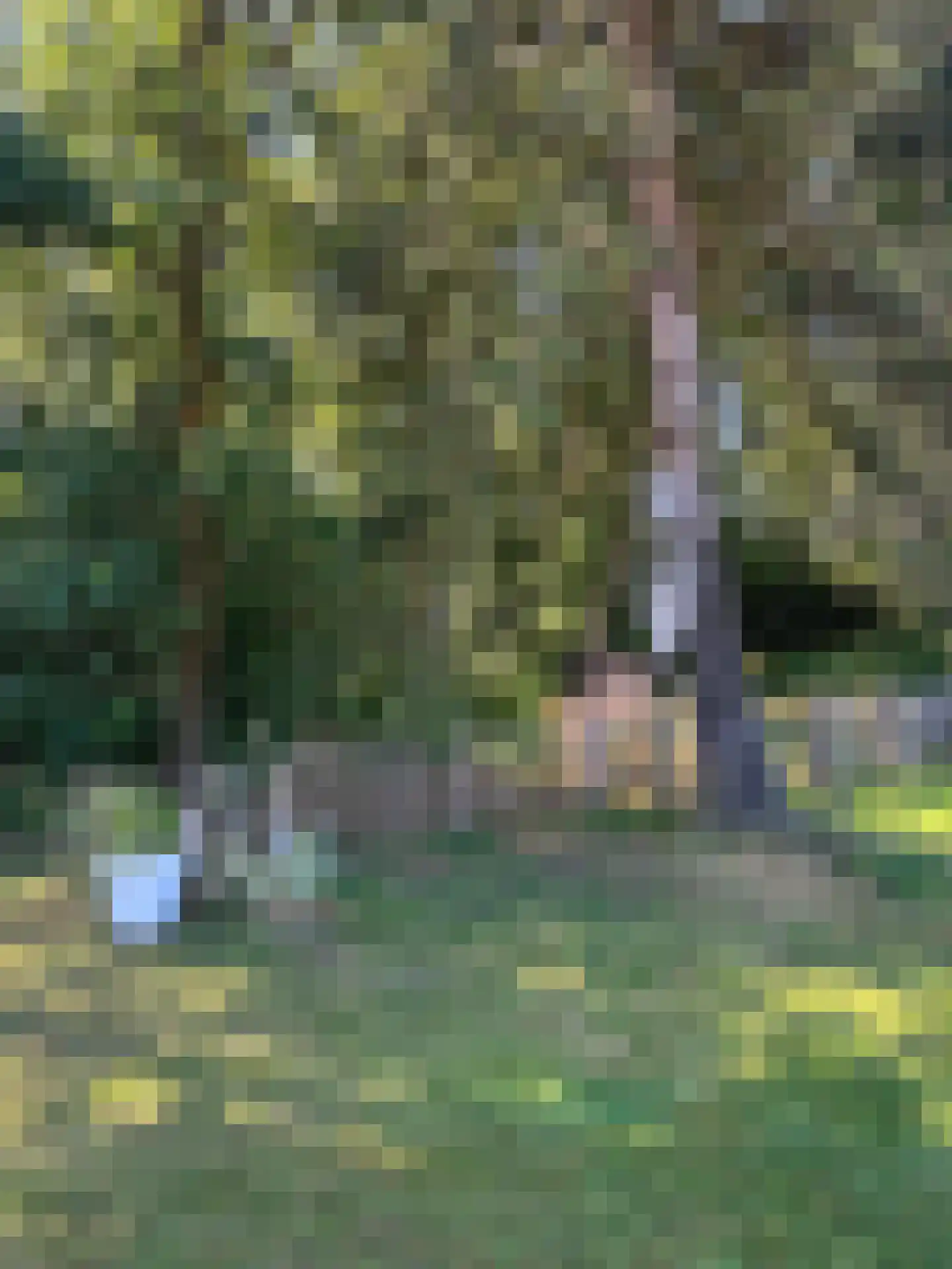 Meeuwenweg 22 Zuidwolde thumbnail 120