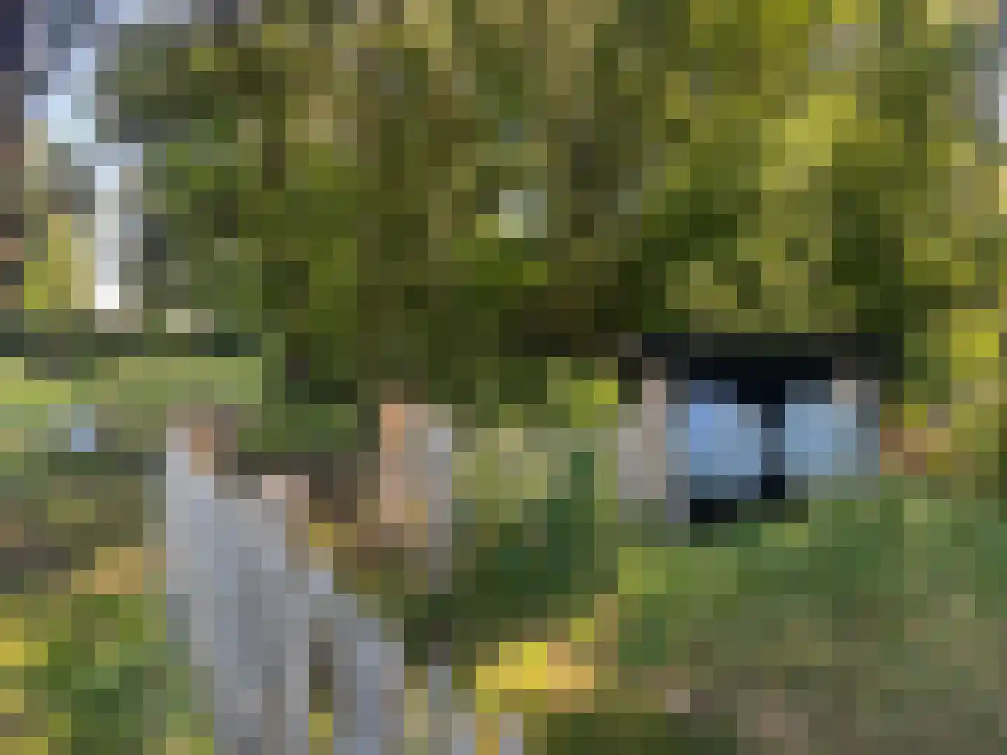 Meeuwenweg 22 Zuidwolde thumbnail 121