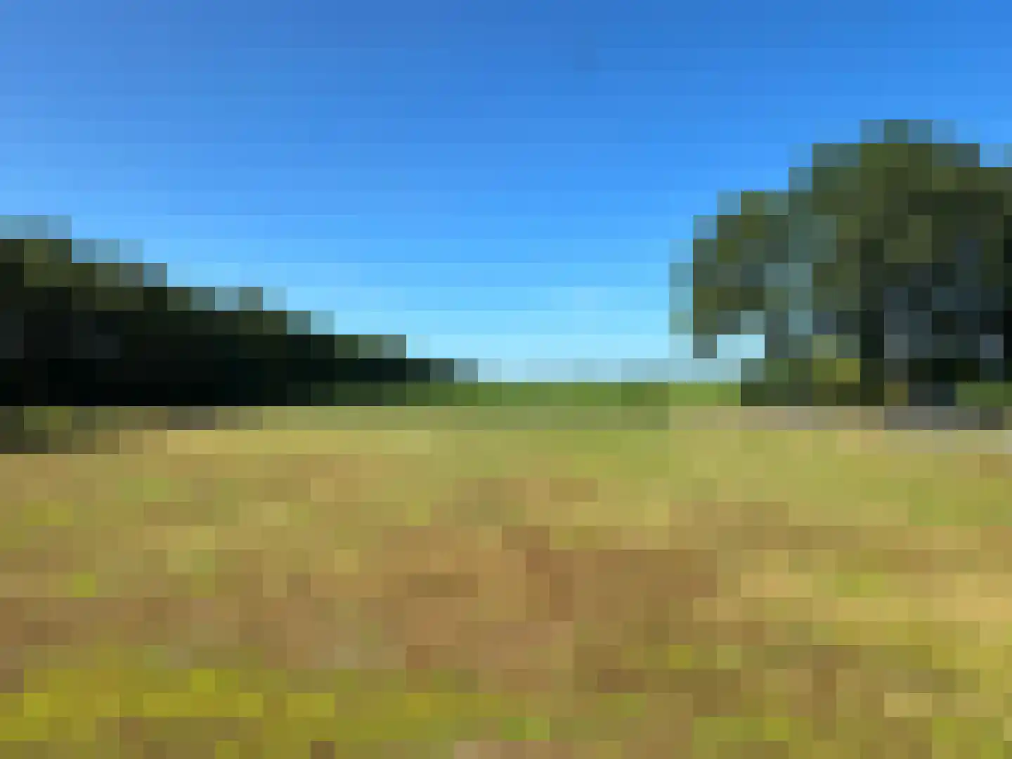 Meeuwenweg 22 Zuidwolde thumbnail 122