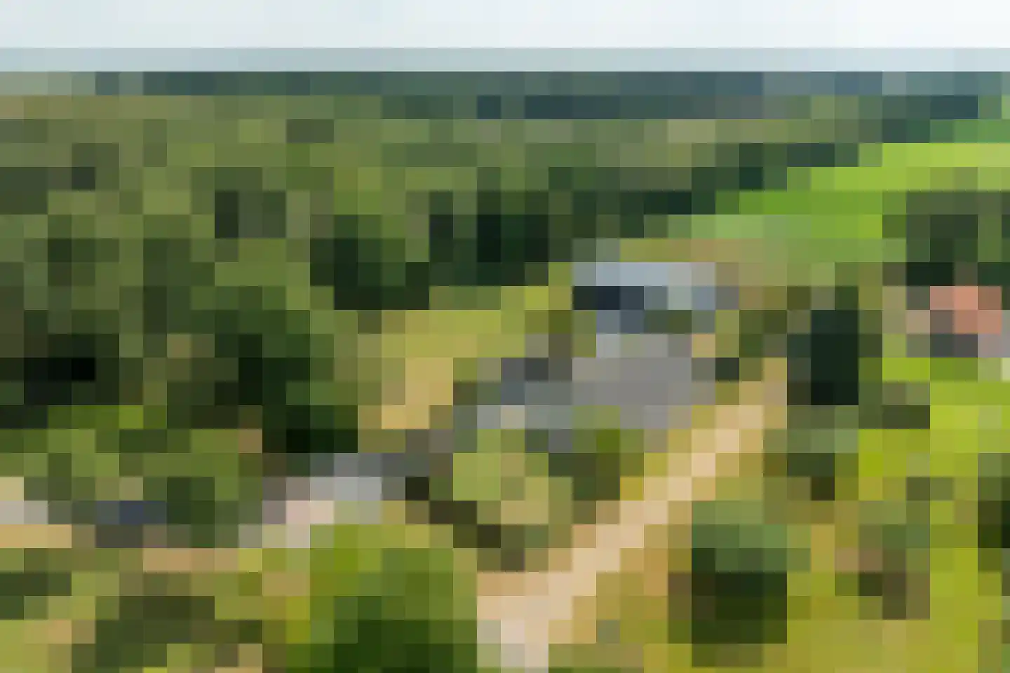 Meeuwenweg 22 Zuidwolde thumbnail 123