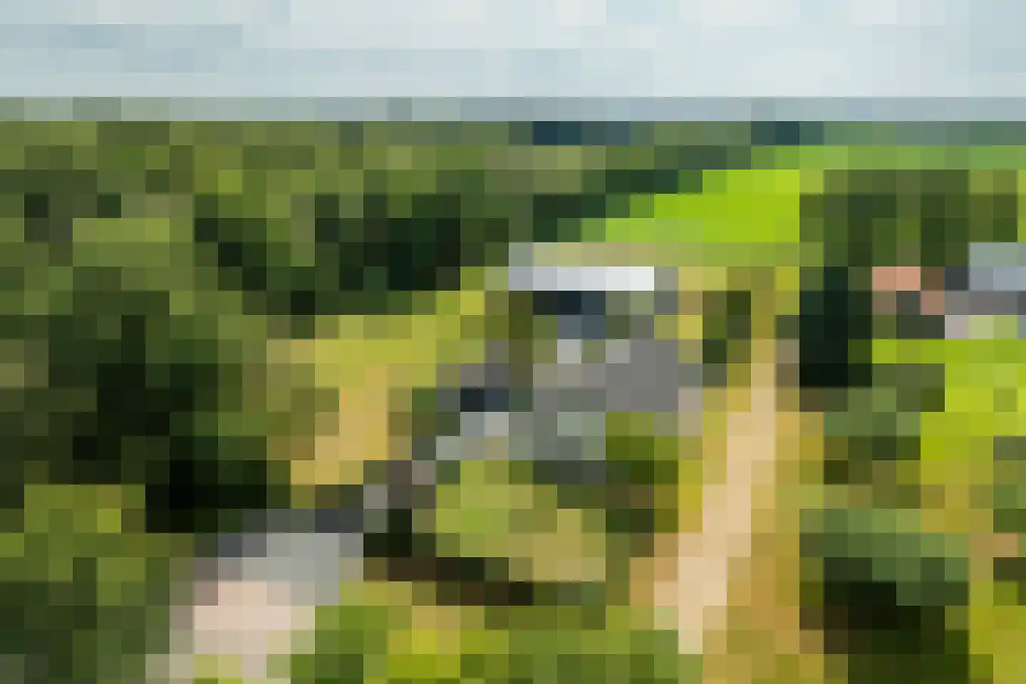 Meeuwenweg 22 Zuidwolde thumbnail 126