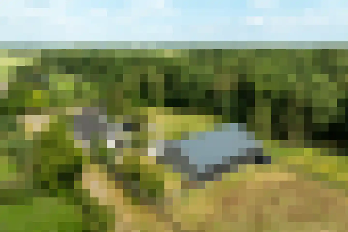 Meeuwenweg 22 Zuidwolde thumbnail 127