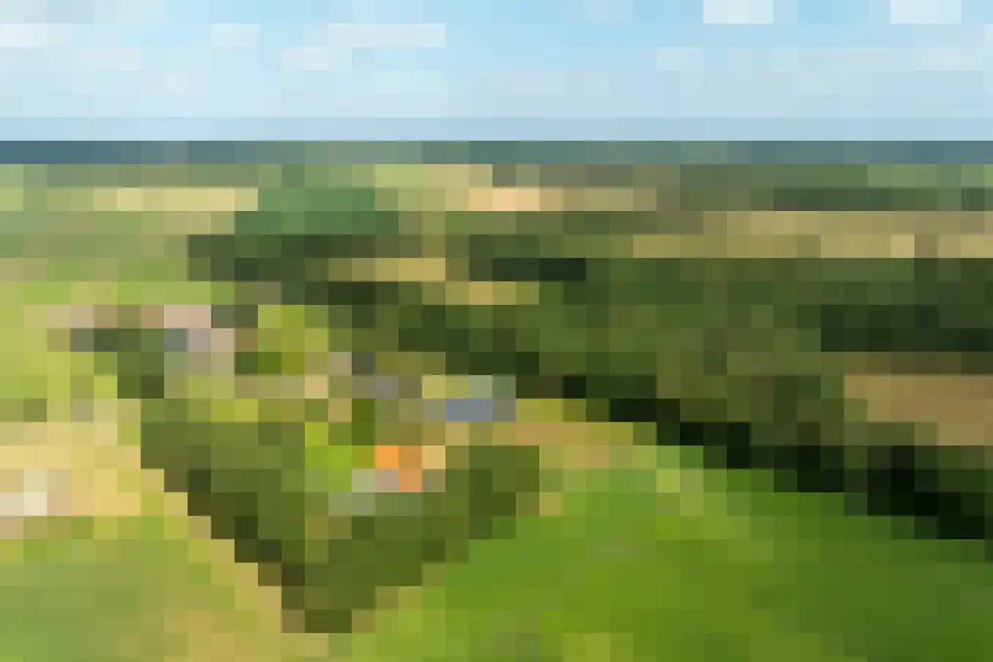 Meeuwenweg 22 Zuidwolde thumbnail 128