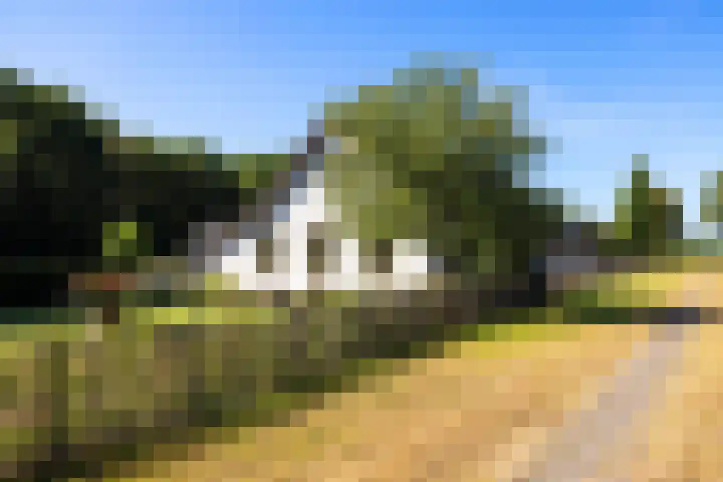 Meeuwenweg 22 Zuidwolde thumbnail 13
