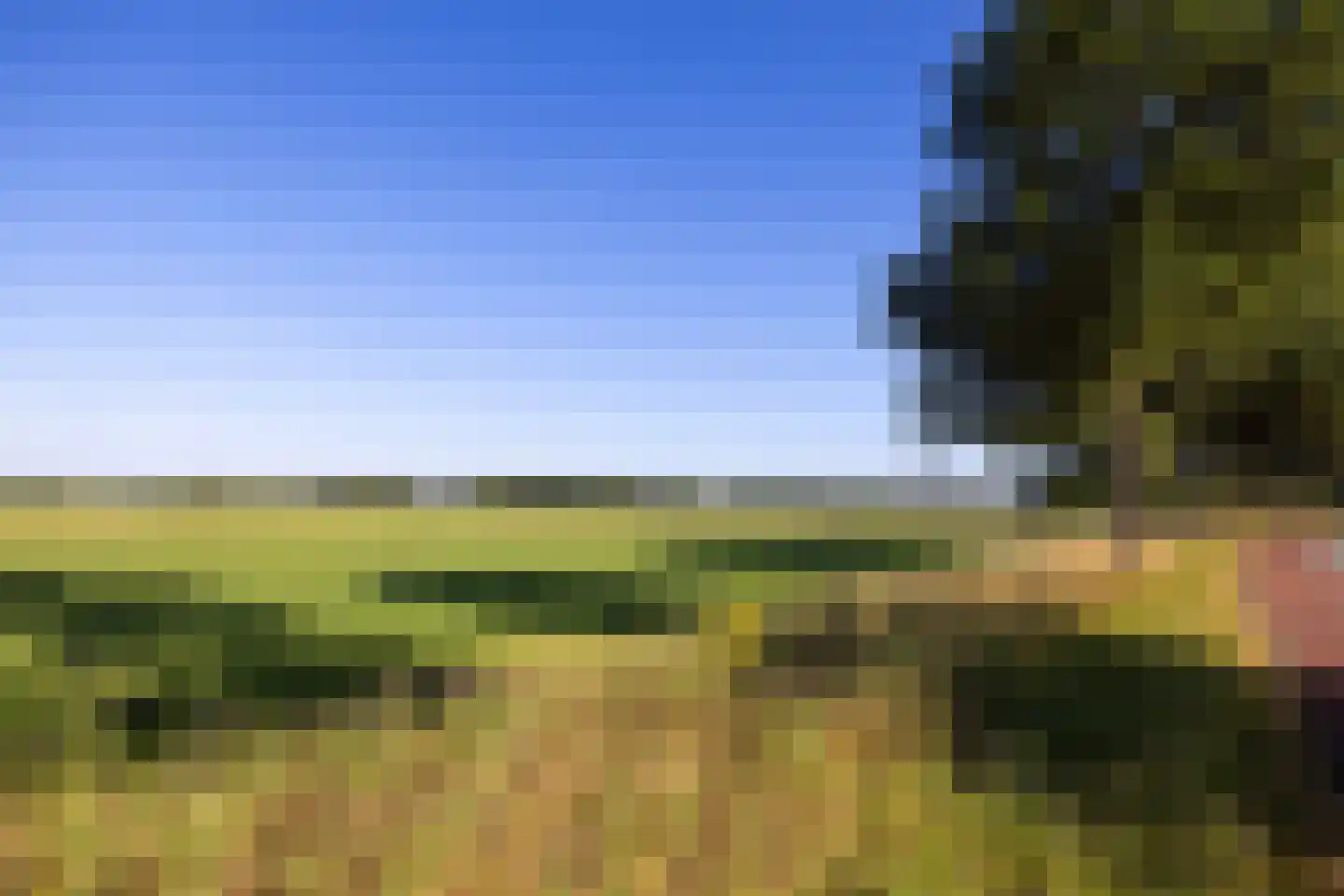 Meeuwenweg 22 Zuidwolde thumbnail 130