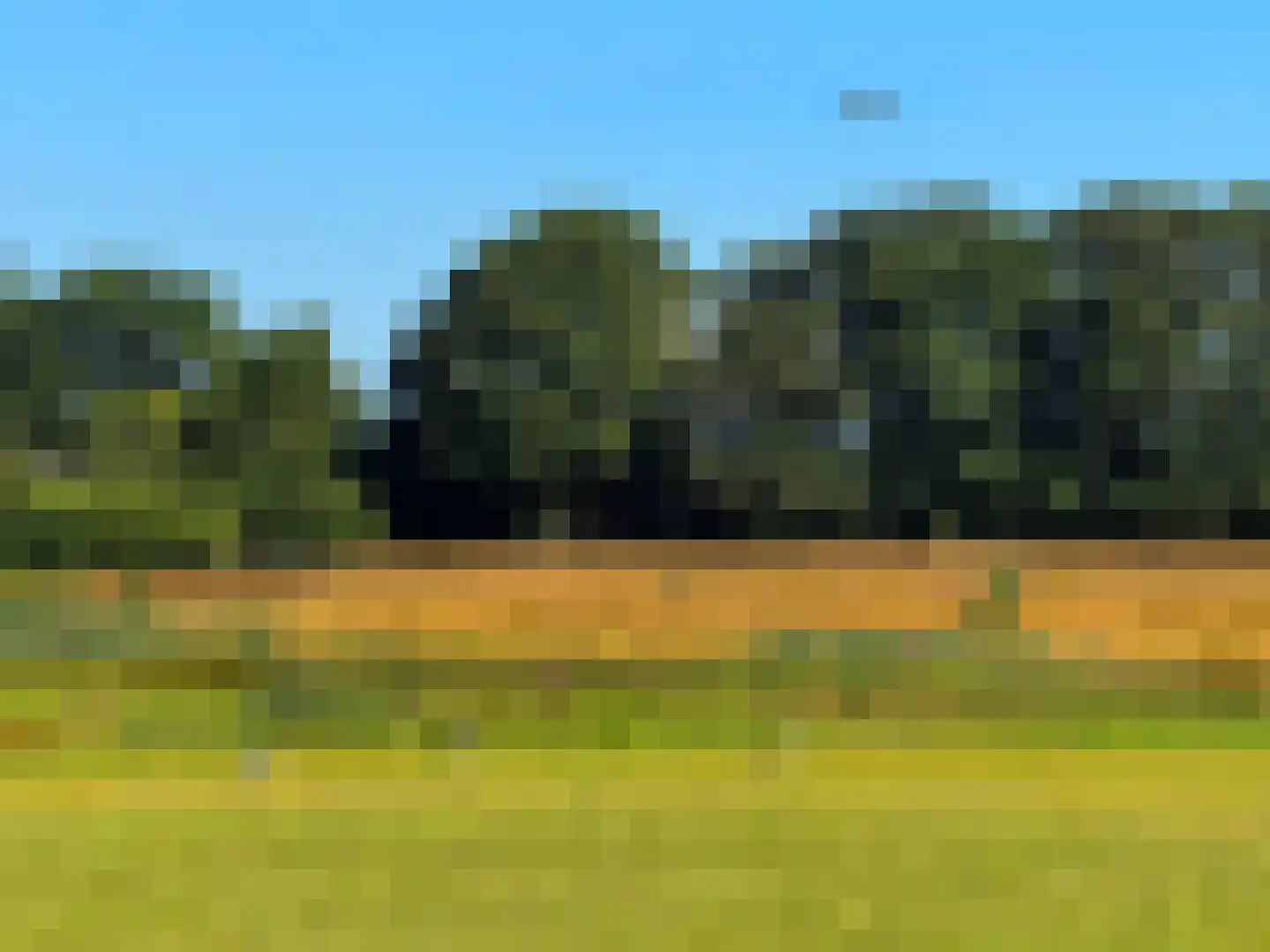 Meeuwenweg 22 Zuidwolde thumbnail 131