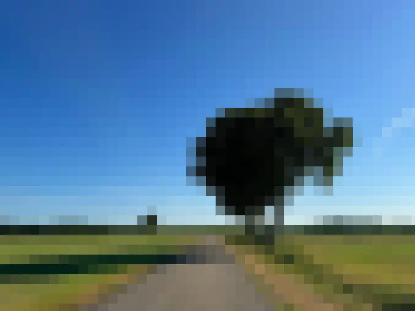 Meeuwenweg 22 Zuidwolde thumbnail 132