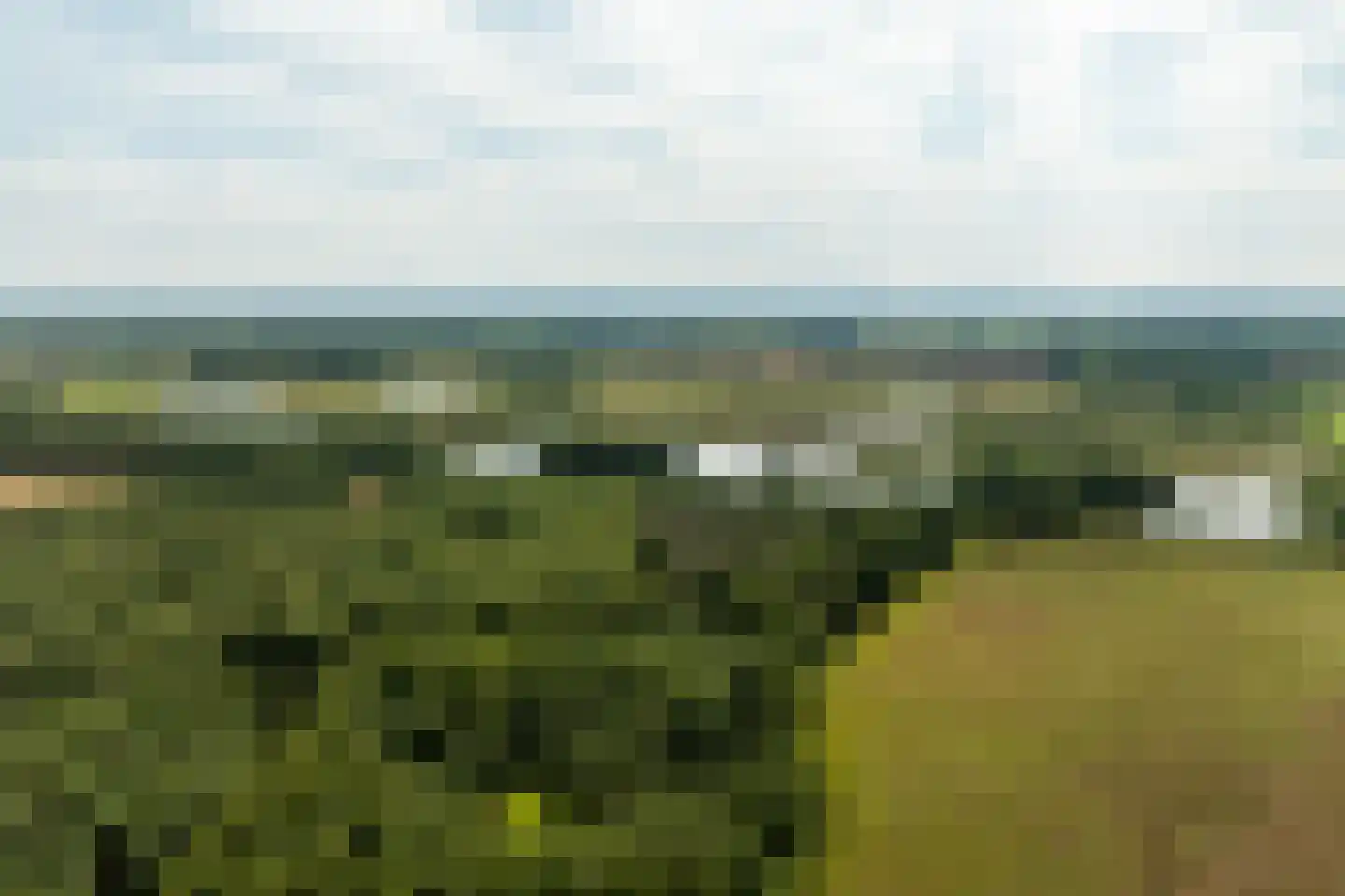 Meeuwenweg 22 Zuidwolde thumbnail 134