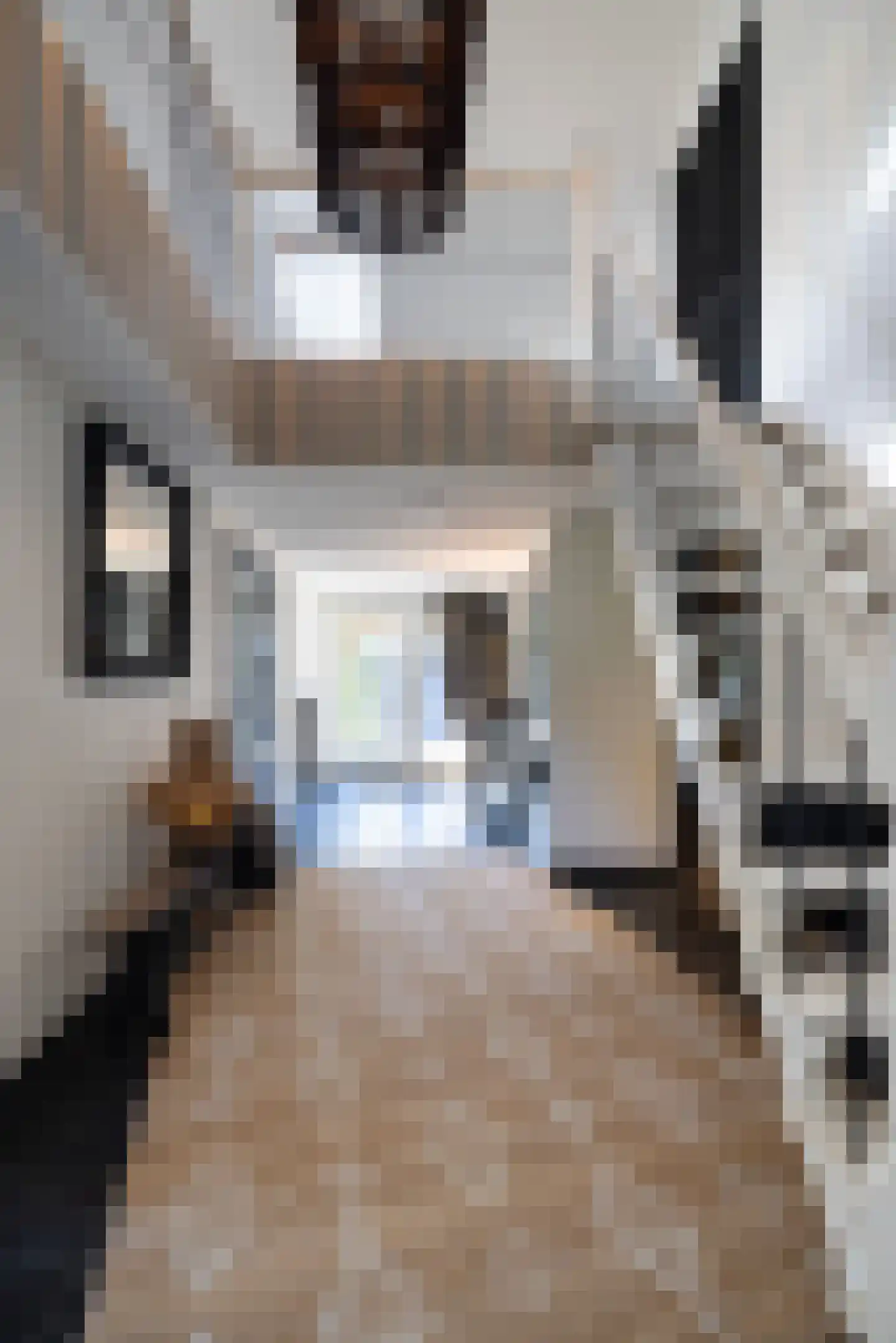 Meeuwenweg 22 Zuidwolde thumbnail 22