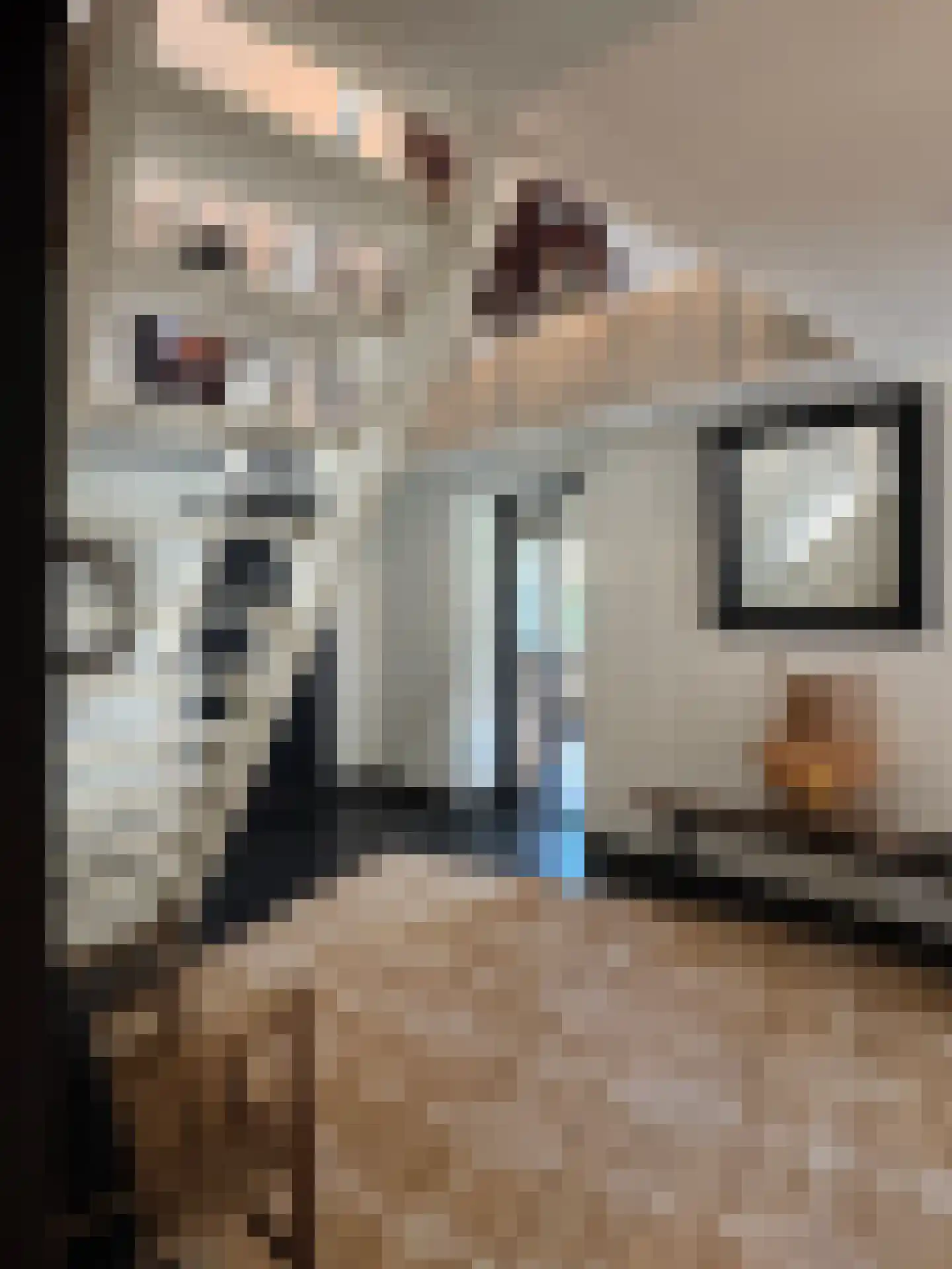 Meeuwenweg 22 Zuidwolde thumbnail 23