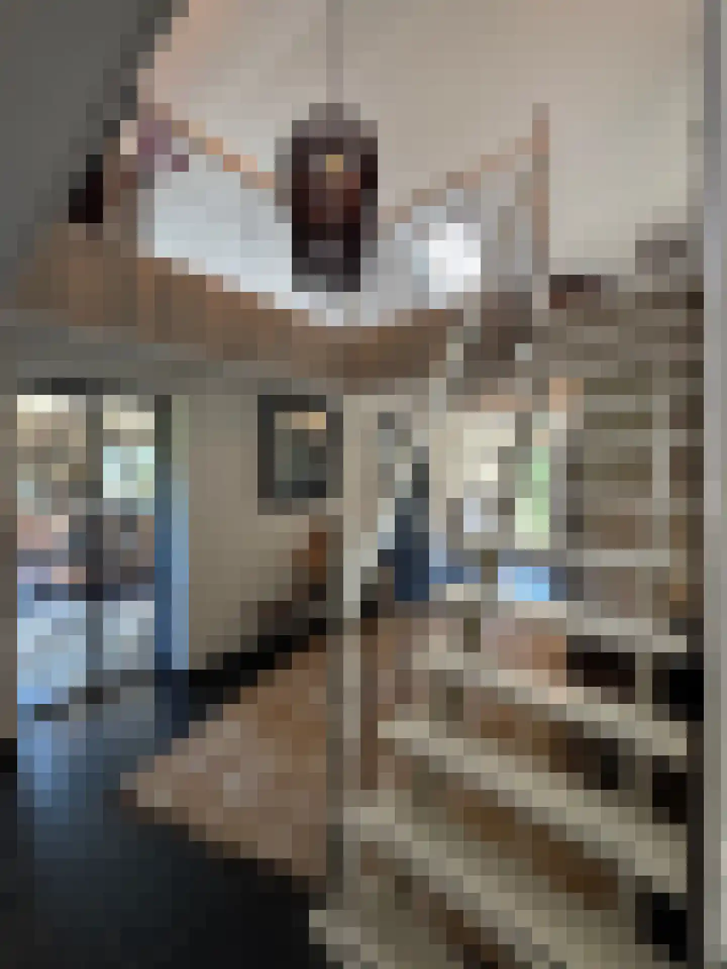 Meeuwenweg 22 Zuidwolde thumbnail 24