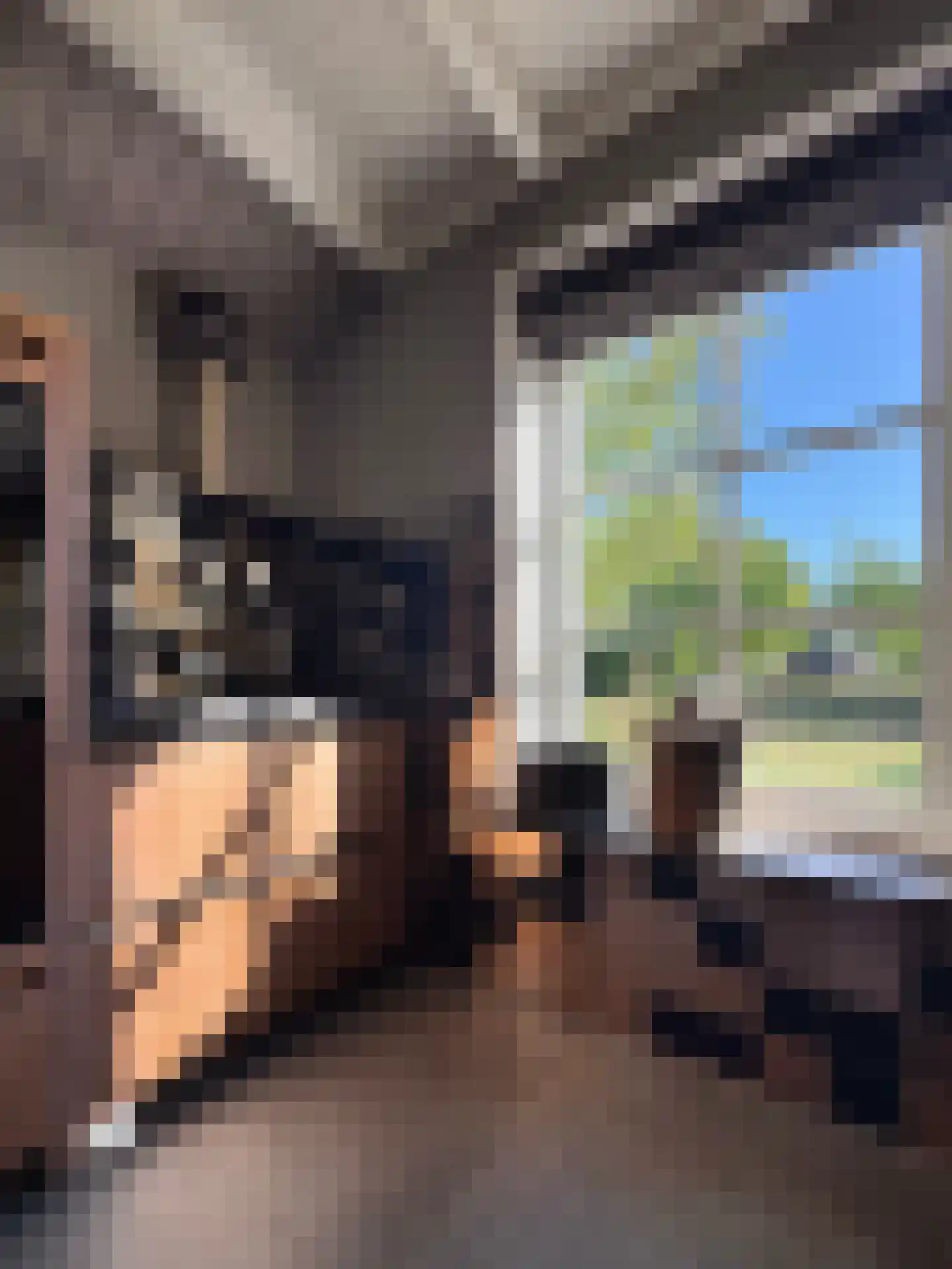 Meeuwenweg 22 Zuidwolde thumbnail 29