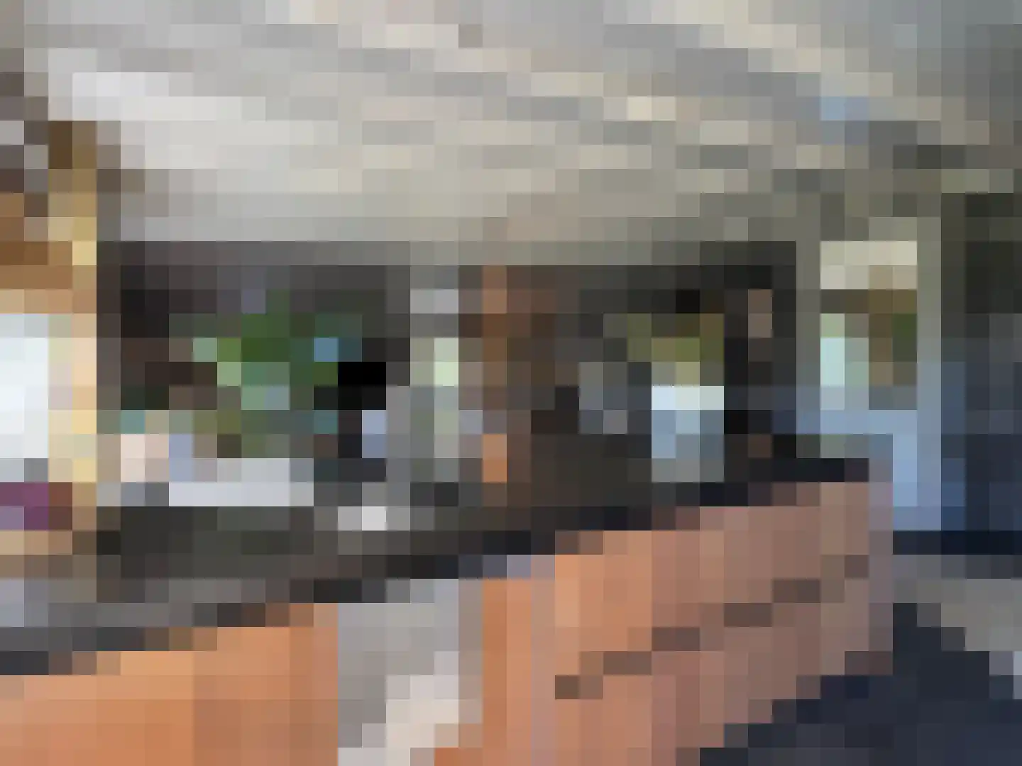 Meeuwenweg 22 Zuidwolde thumbnail 30