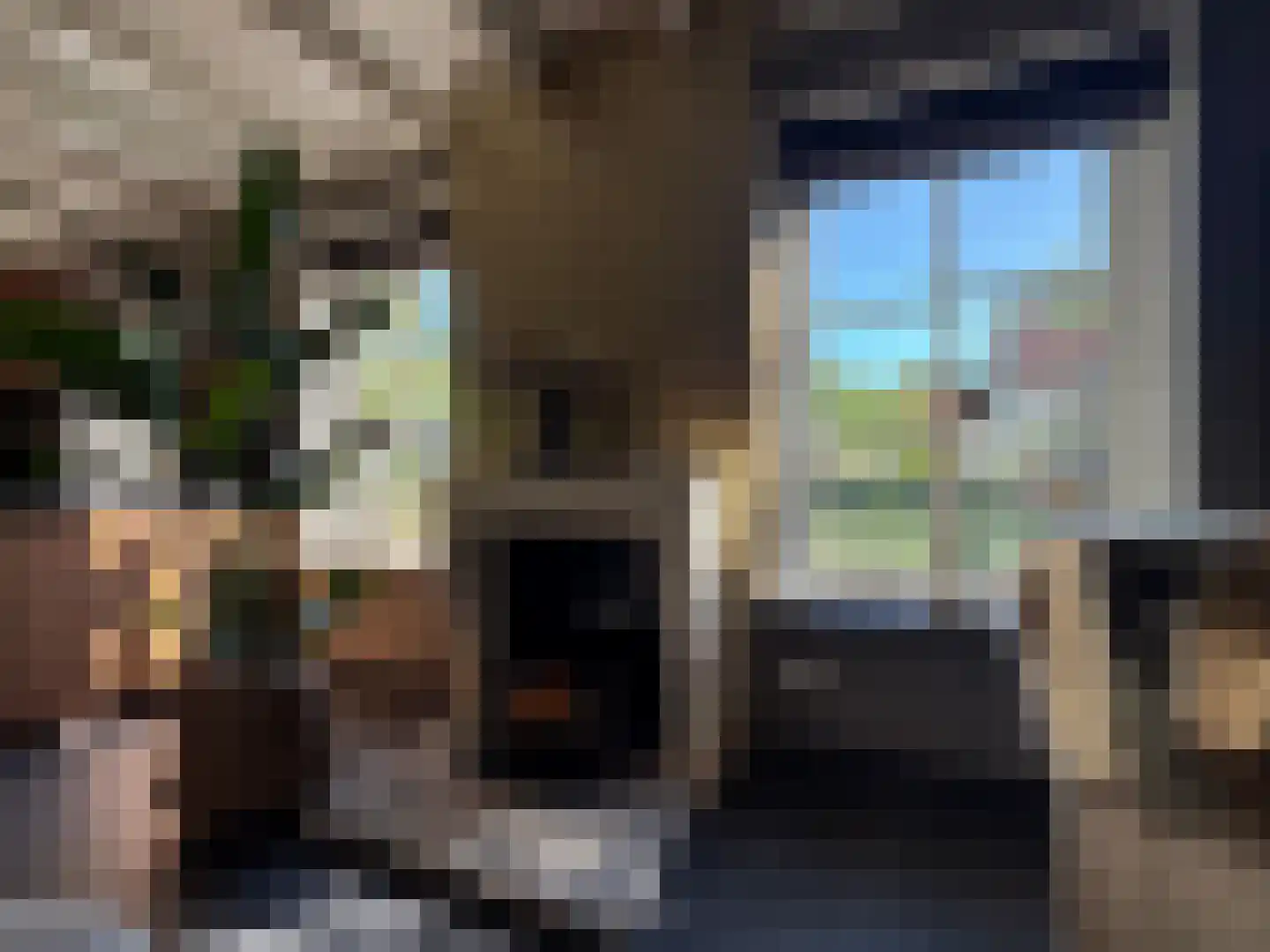 Meeuwenweg 22 Zuidwolde thumbnail 32