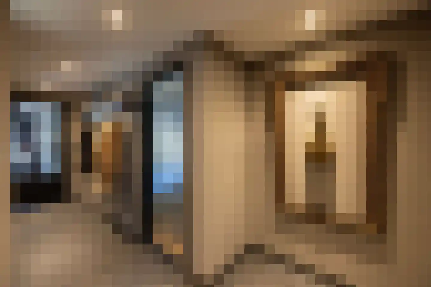Meeuwenweg 22 Zuidwolde thumbnail 37