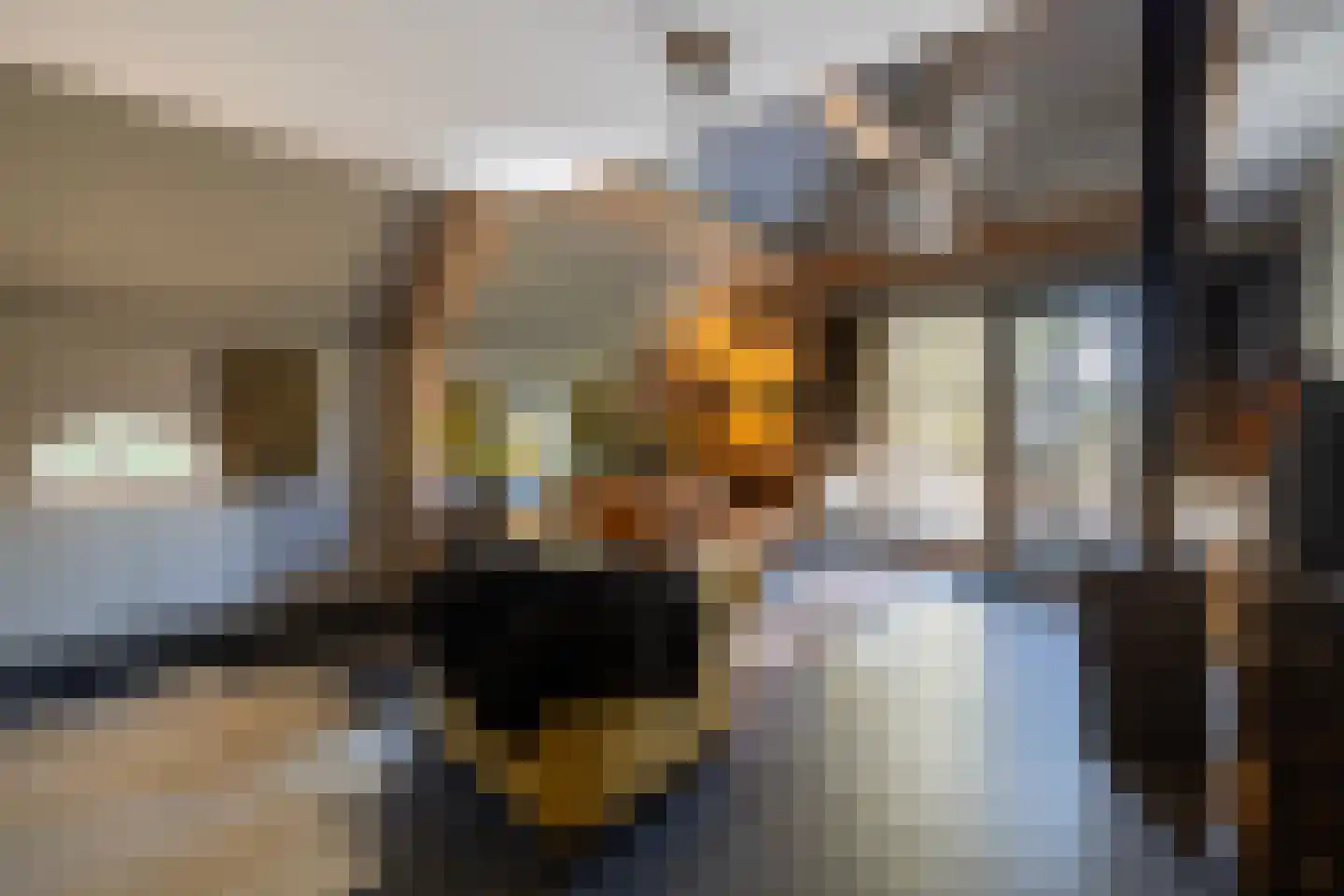 Meeuwenweg 22 Zuidwolde thumbnail 38