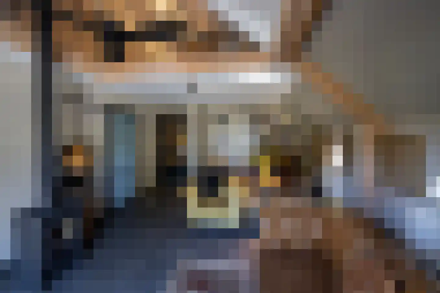 Meeuwenweg 22 Zuidwolde thumbnail 39