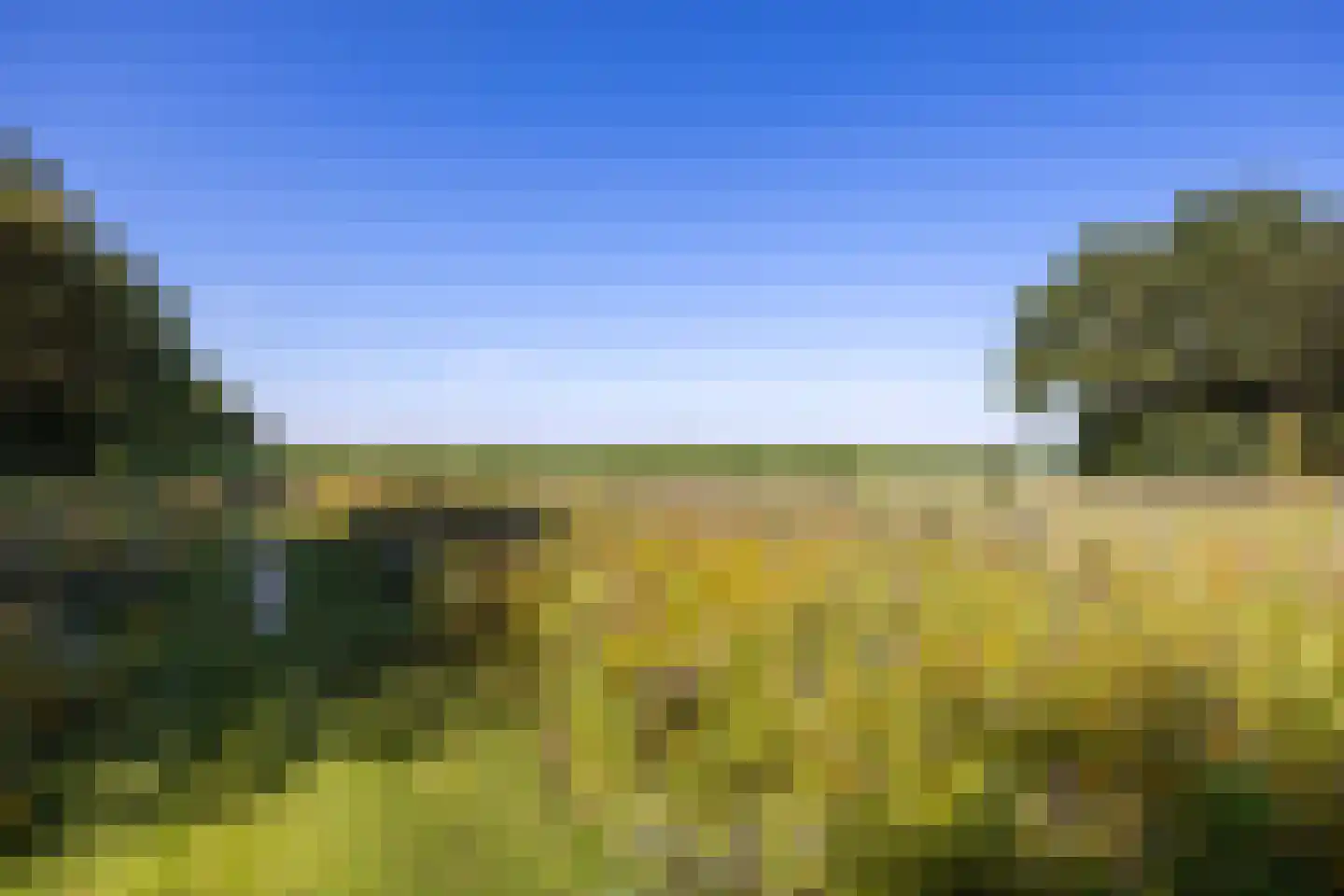 Meeuwenweg 22 Zuidwolde thumbnail 4