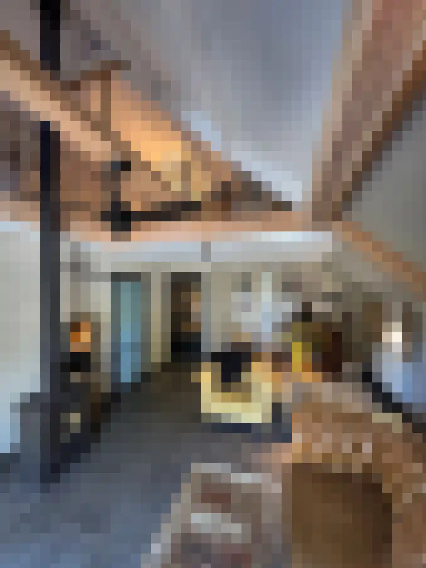 Meeuwenweg 22 Zuidwolde thumbnail 40