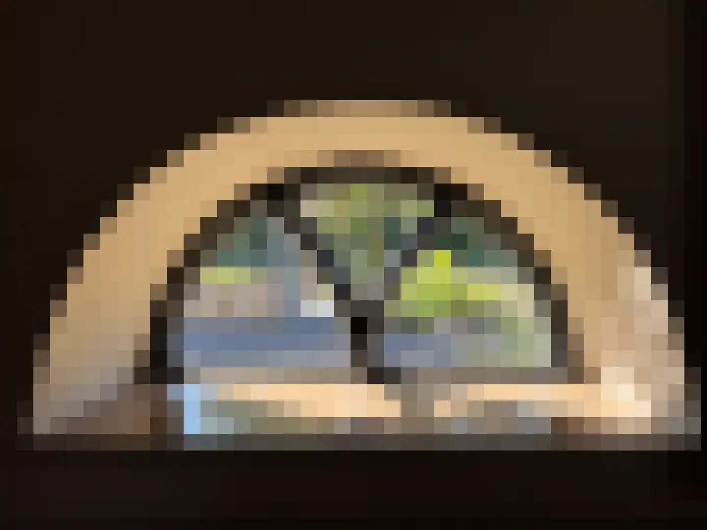 Meeuwenweg 22 Zuidwolde thumbnail 42