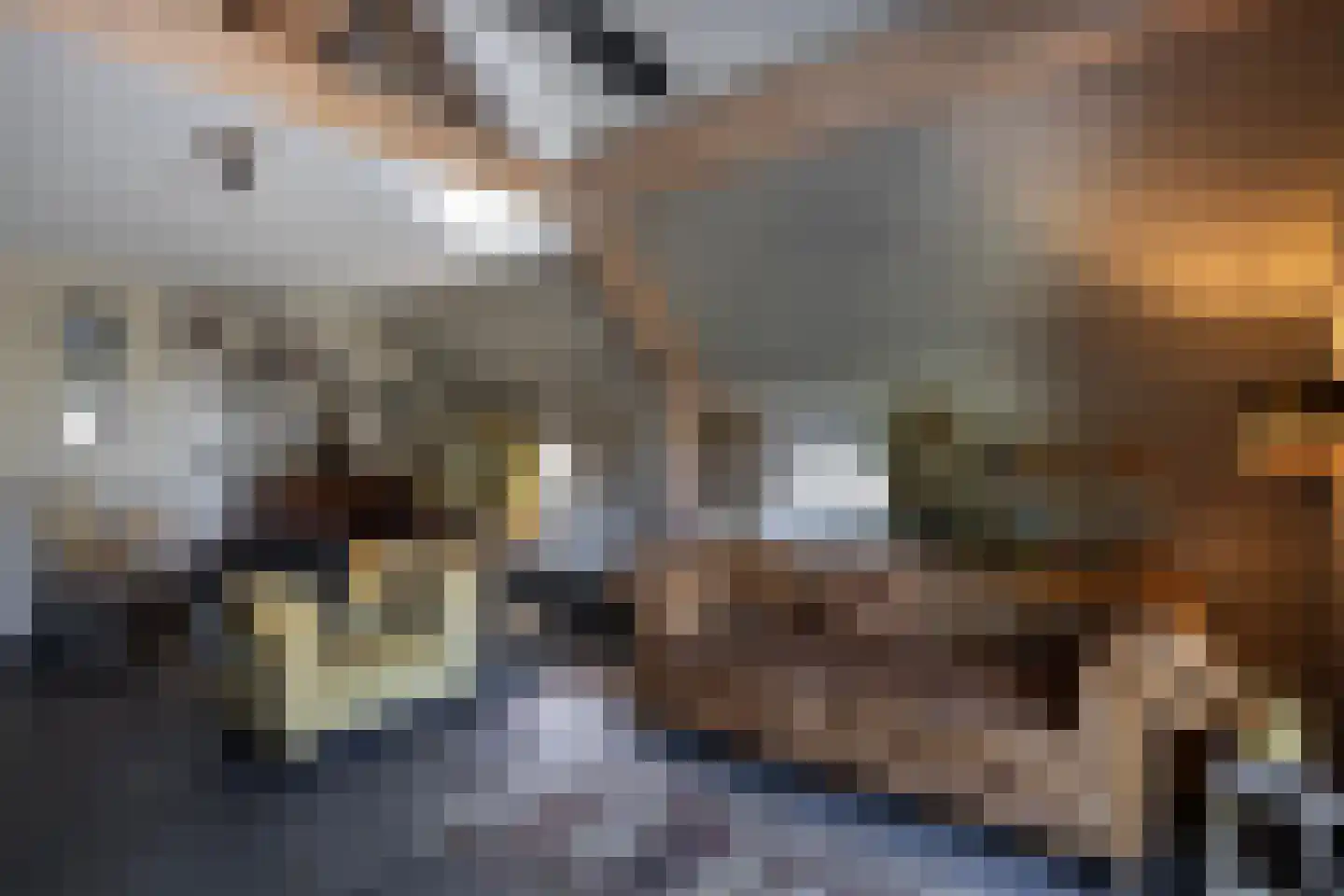 Meeuwenweg 22 Zuidwolde thumbnail 43
