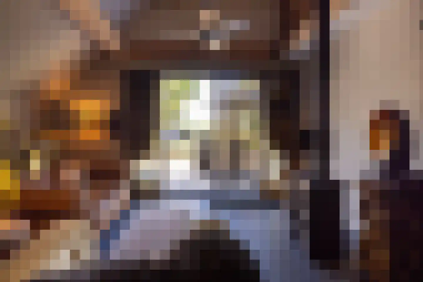 Meeuwenweg 22 Zuidwolde thumbnail 44
