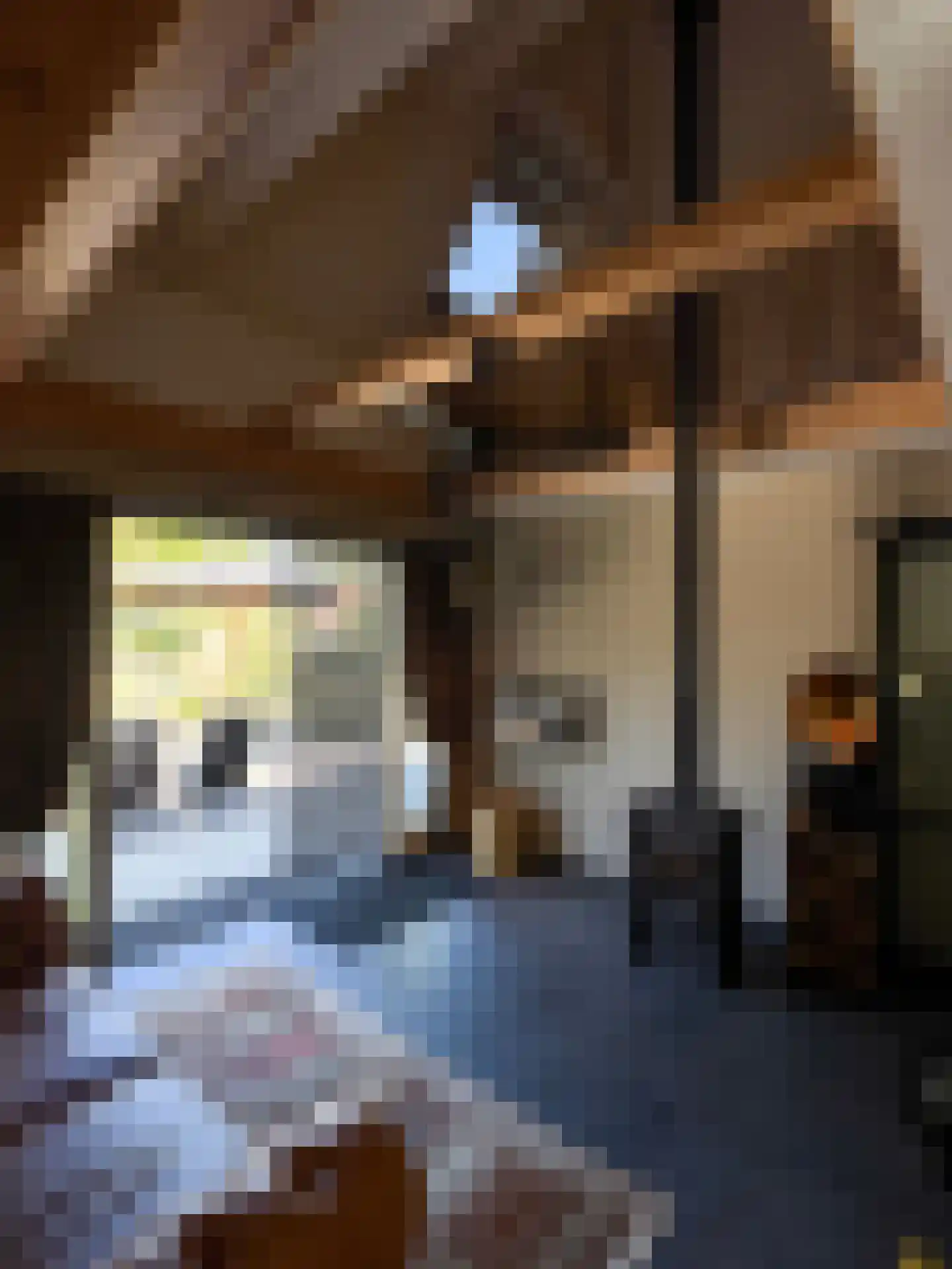 Meeuwenweg 22 Zuidwolde thumbnail 45