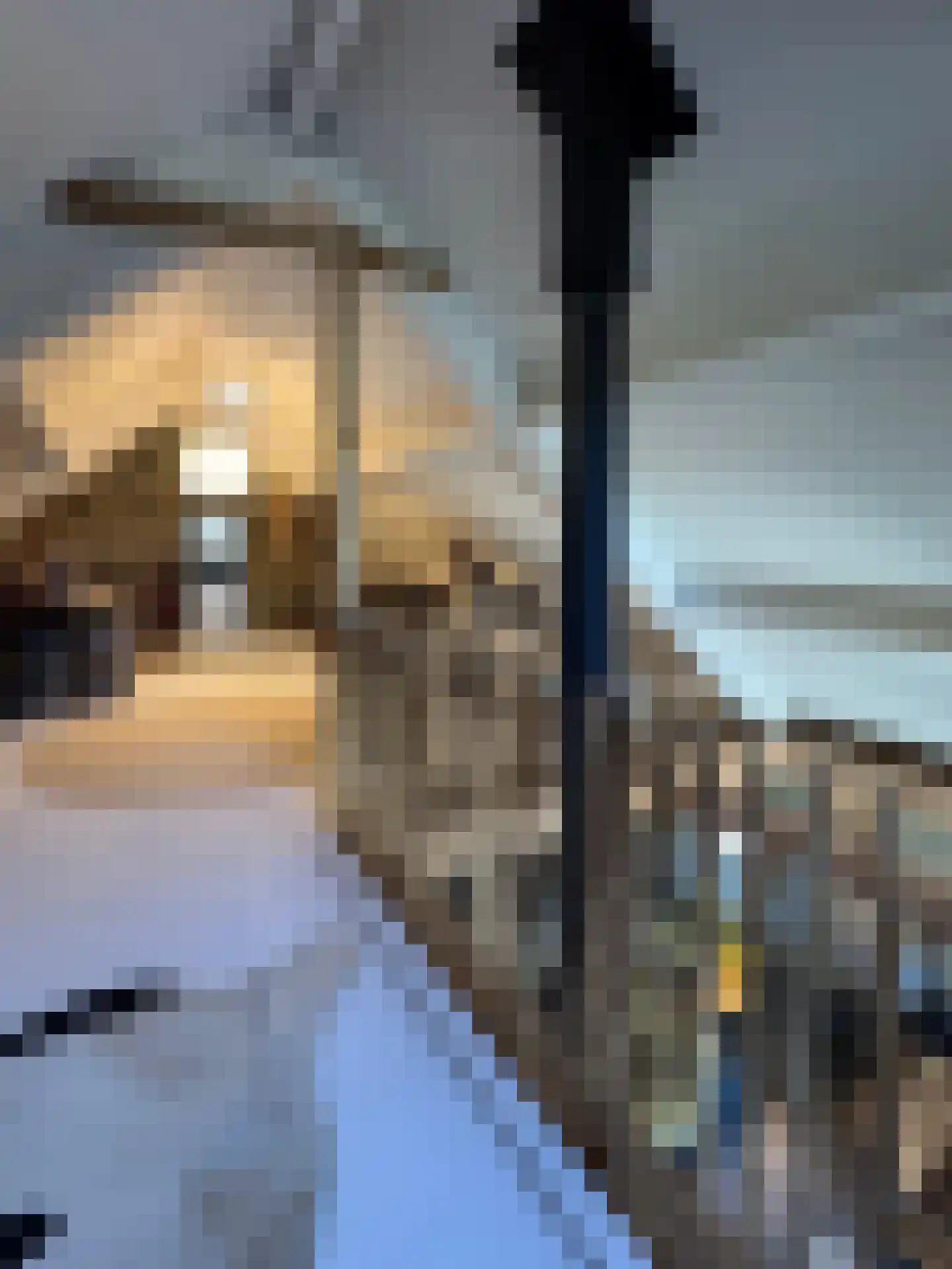Meeuwenweg 22 Zuidwolde thumbnail 49