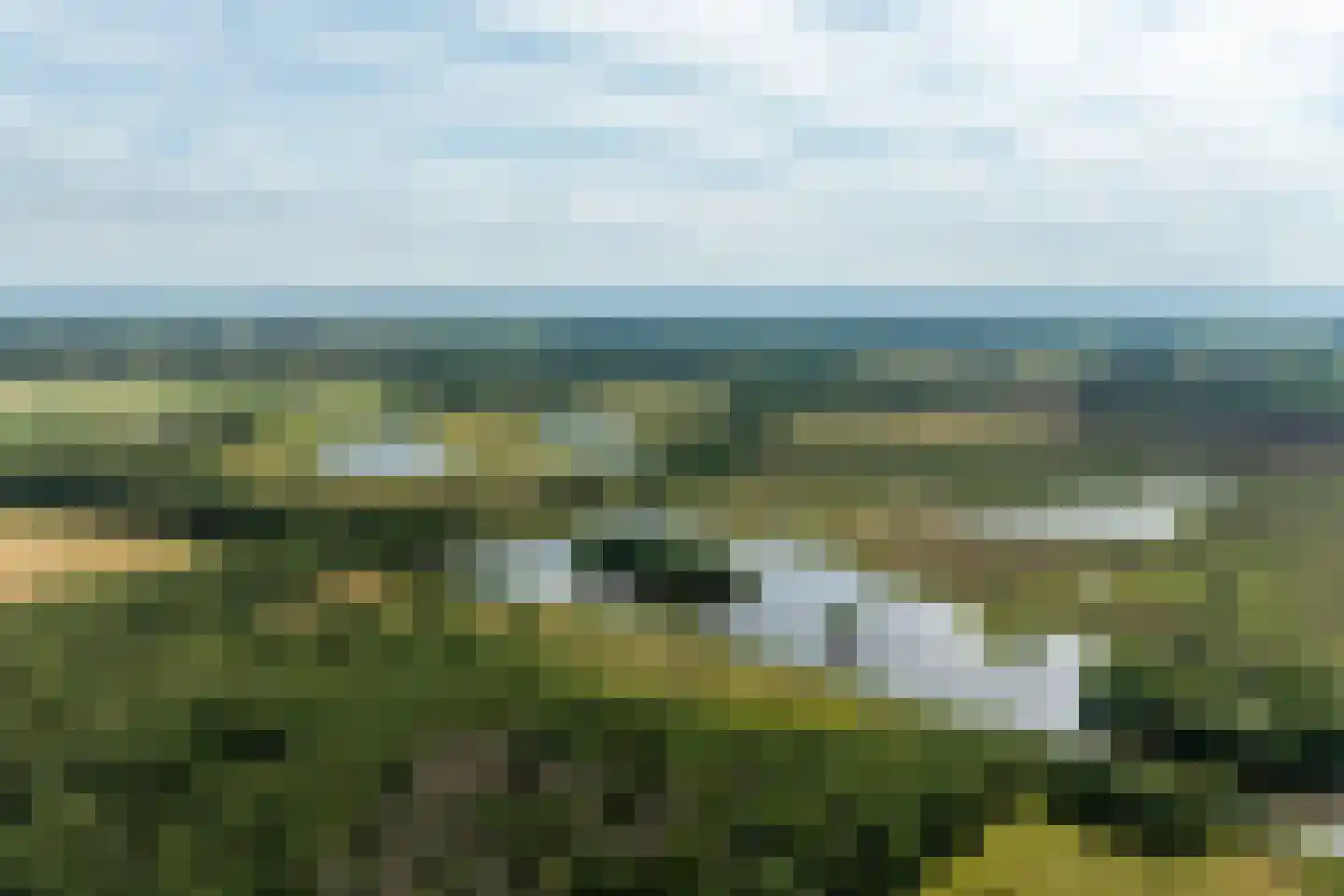 Meeuwenweg 22 Zuidwolde thumbnail 5