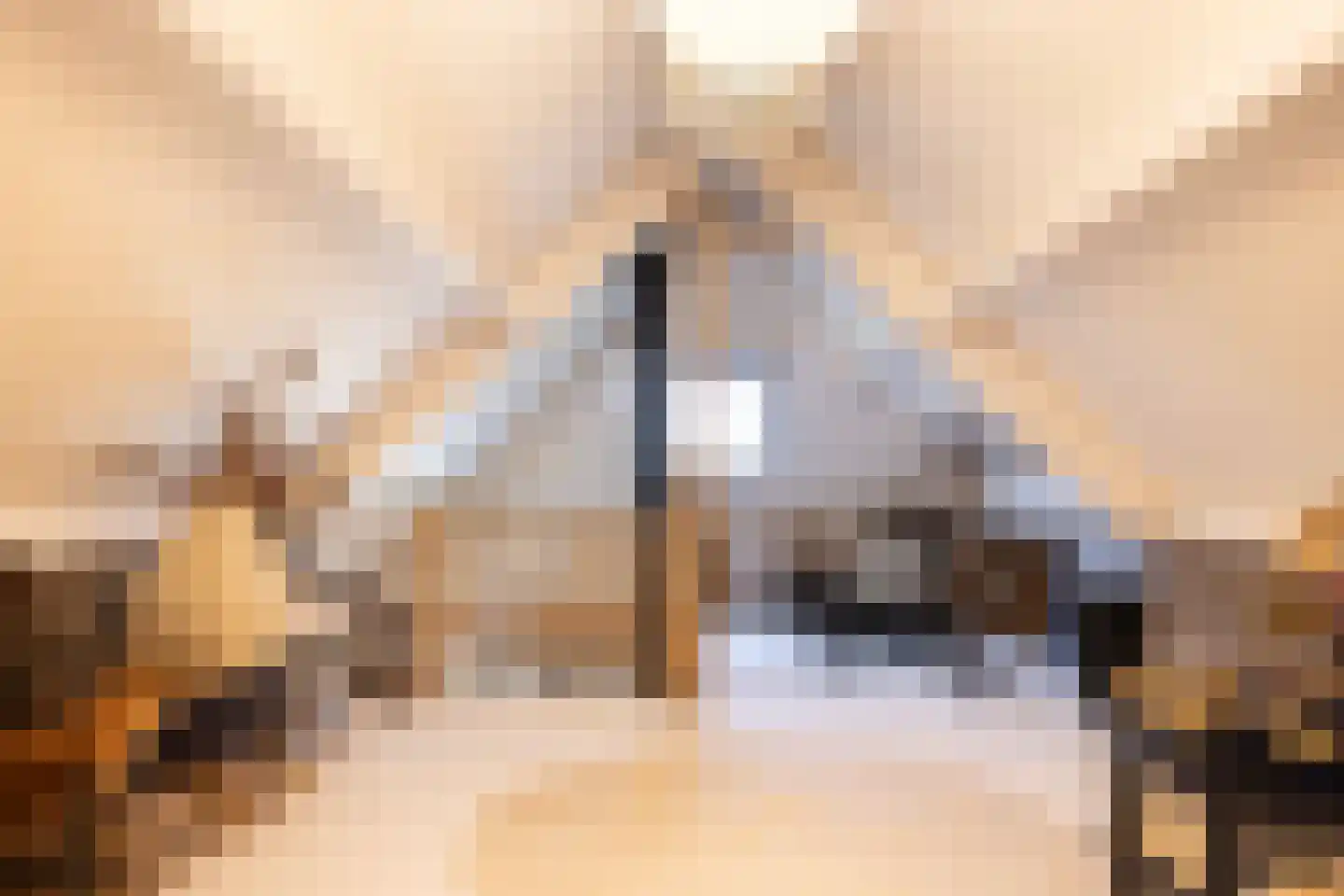 Meeuwenweg 22 Zuidwolde thumbnail 50