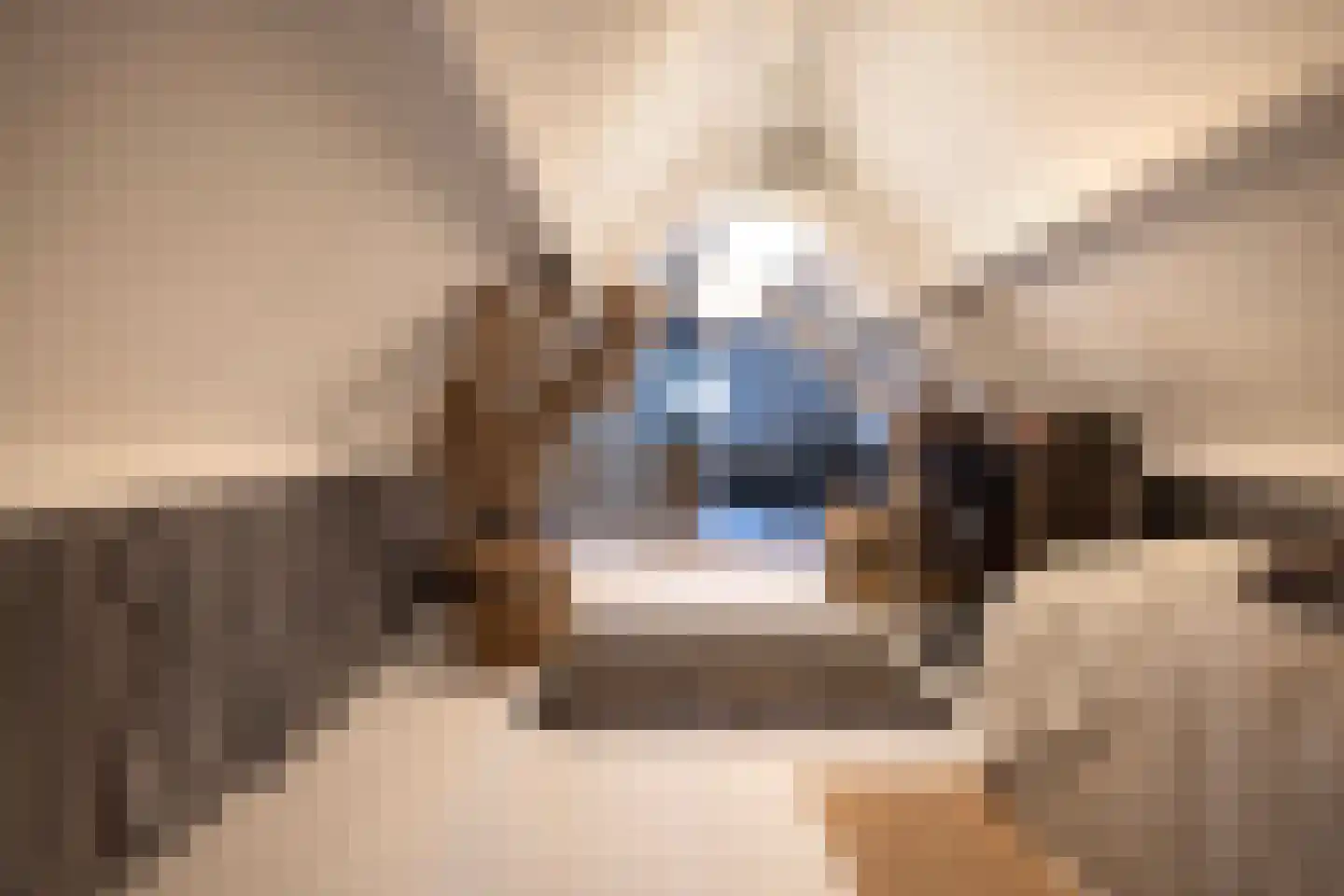 Meeuwenweg 22 Zuidwolde thumbnail 51