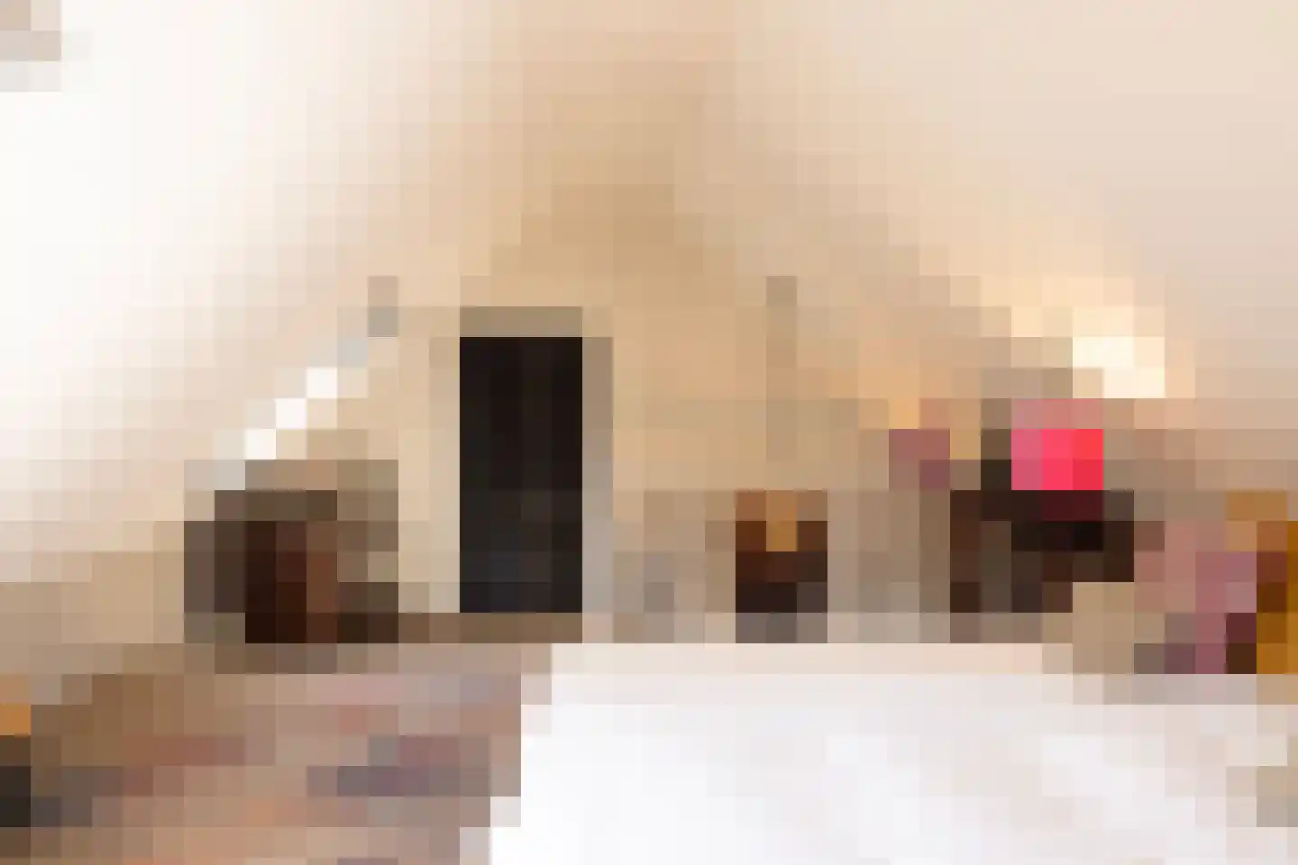 Meeuwenweg 22 Zuidwolde thumbnail 52