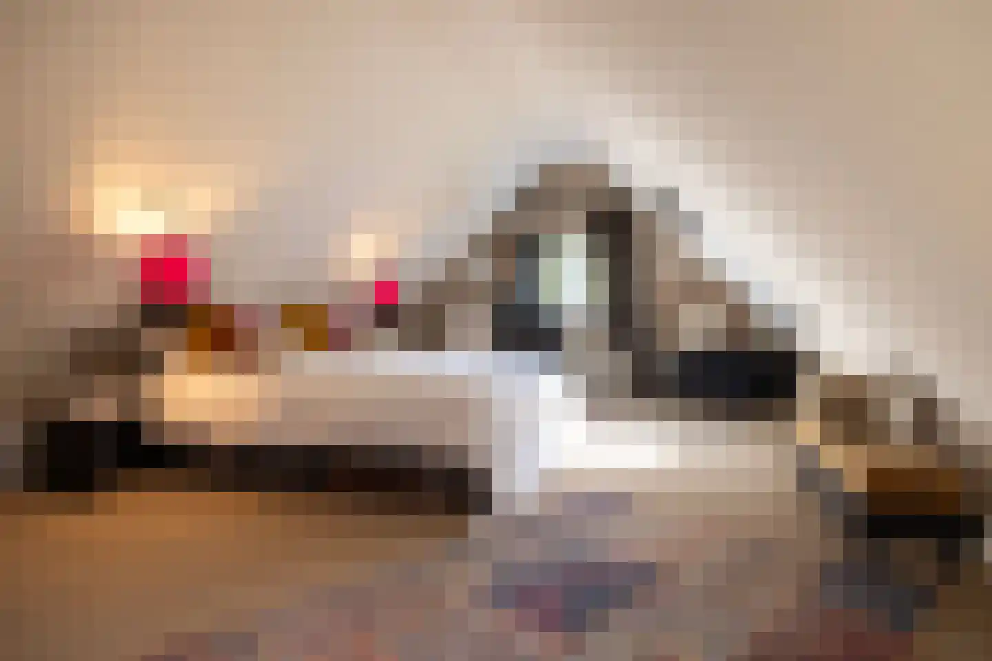 Meeuwenweg 22 Zuidwolde thumbnail 53